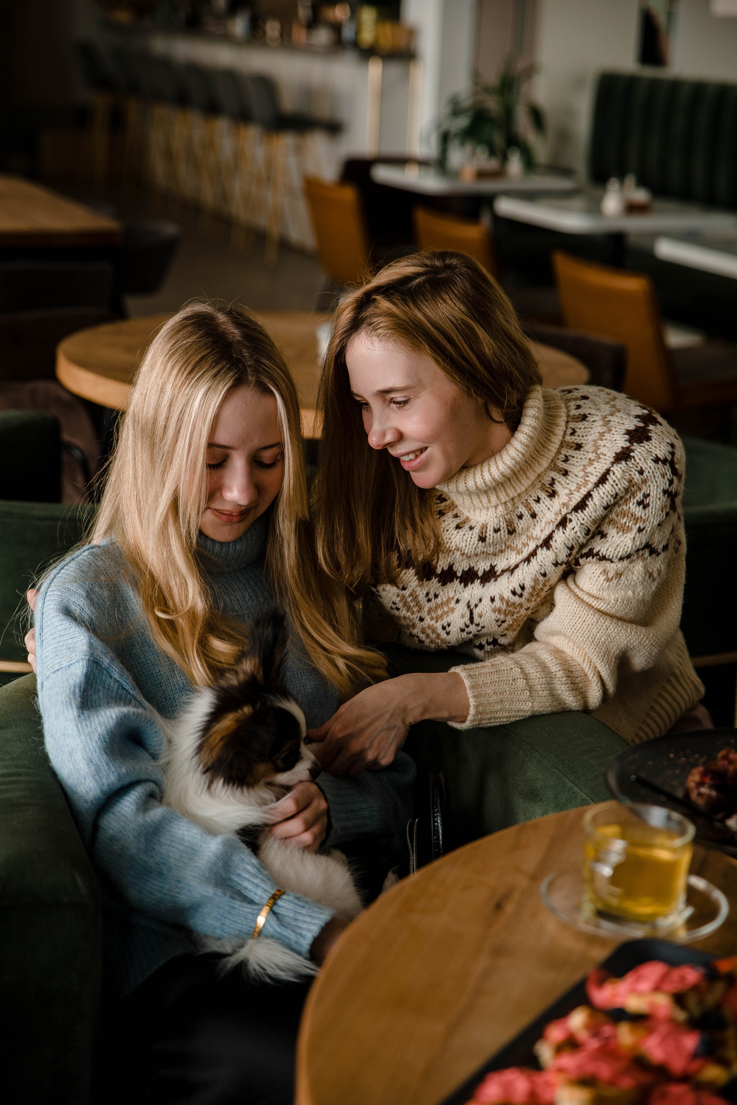 Настя, Света и Папийон Луней. Главная