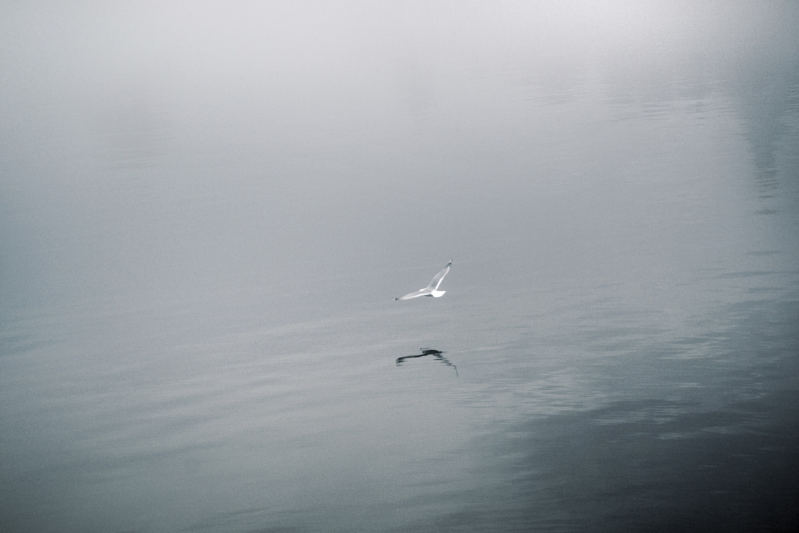 Природа. Трандин Иван Фотограф СПб