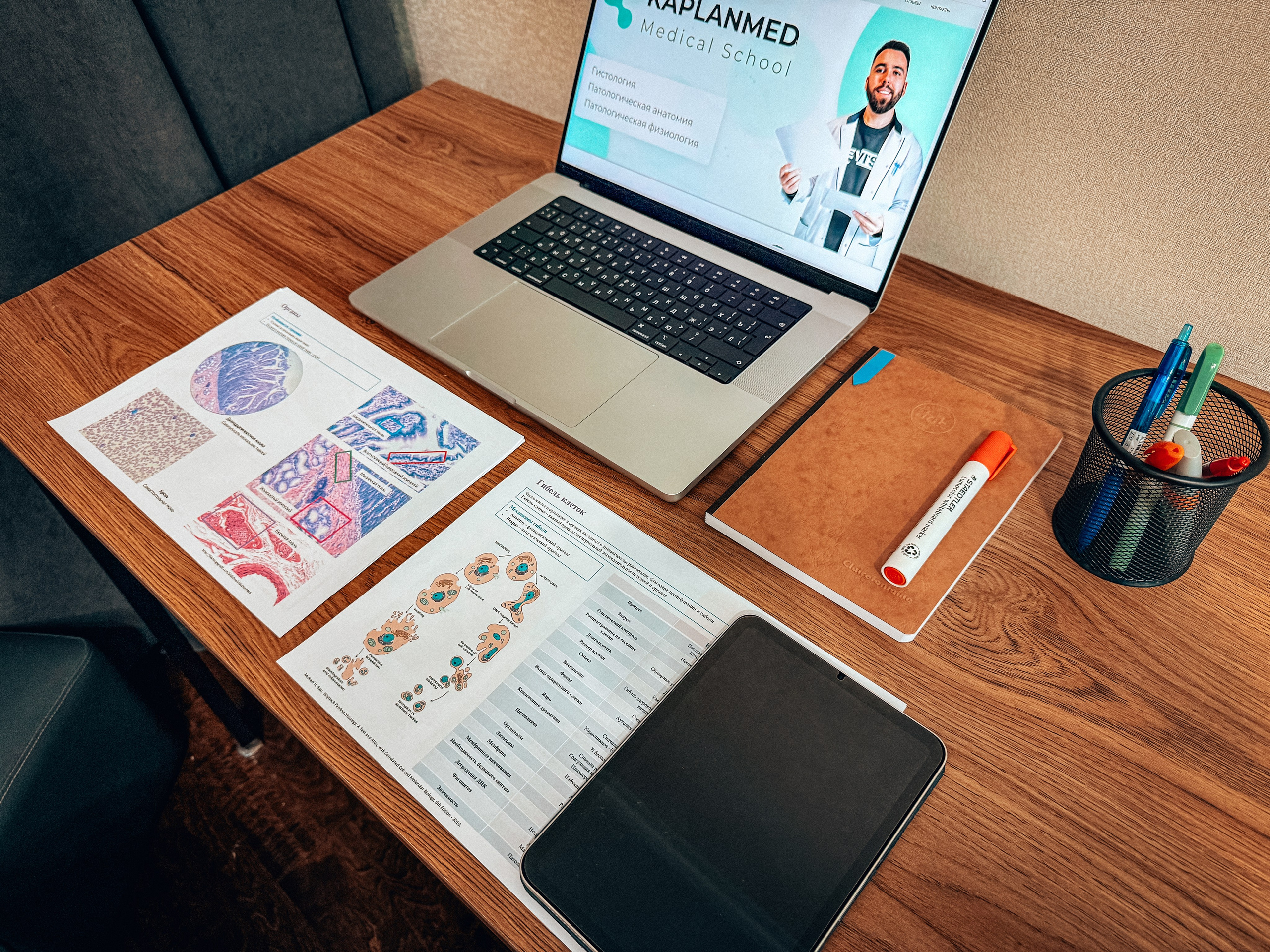Материалы по патану и патфизу. Репетитор по гистологии, патологической анатомии и патофизиологии | KaplanMed