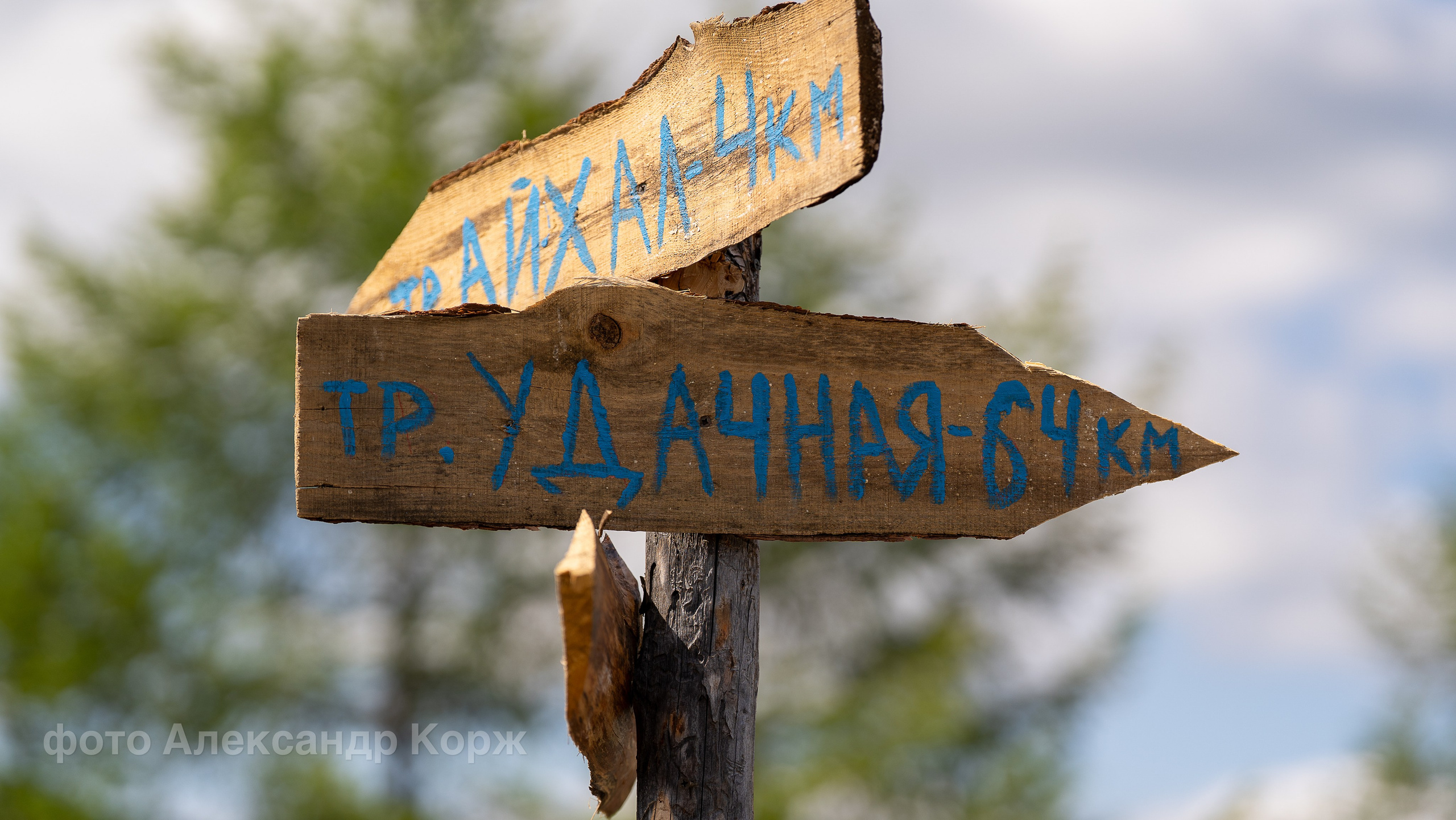 🔹В Айхале отпраздновали Ысыах Приполярья 2025🔹. Фотографии и видеосъемка, Айхал, Удачный, Якутия. Фотографии Айхал