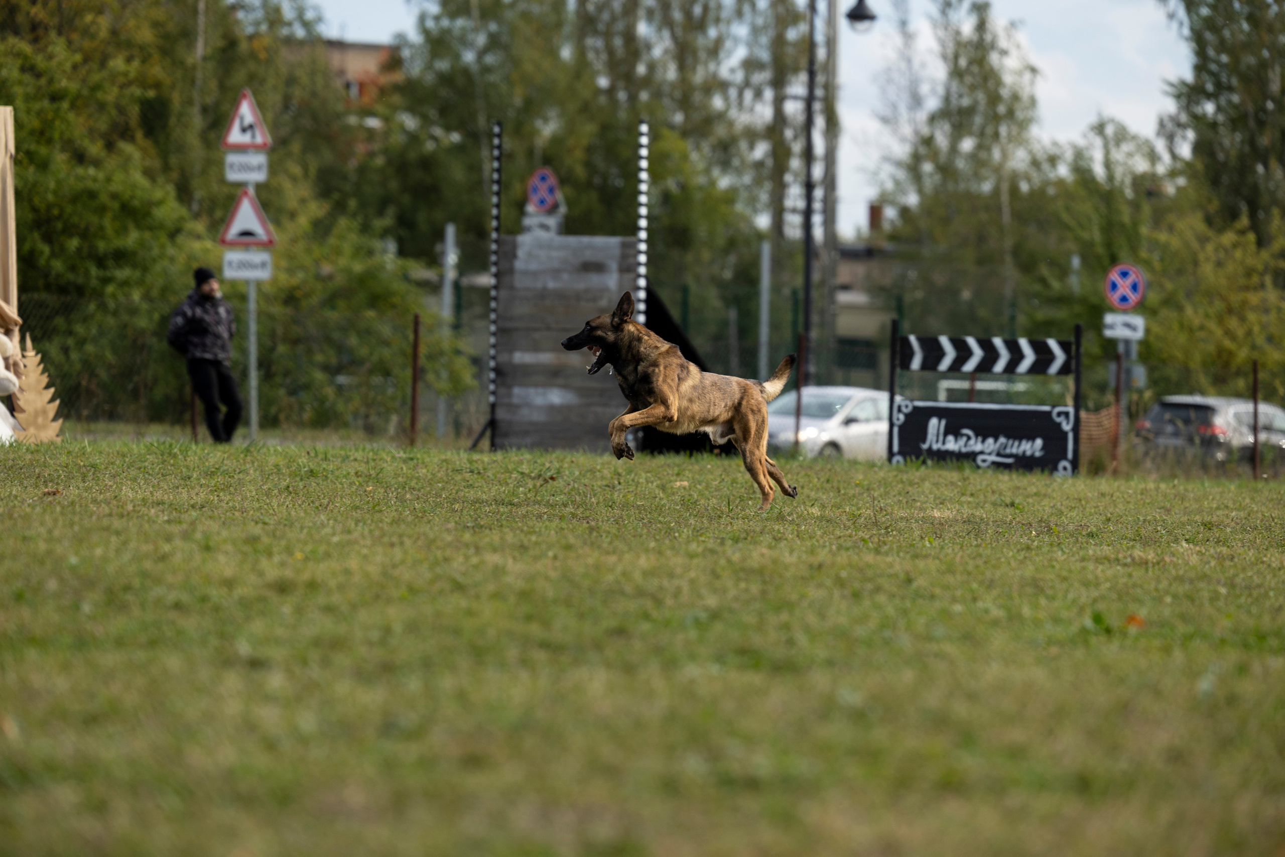 Испытания по Мондьорингу г. Пушкин. Фотограф-анималист Анна Маринич