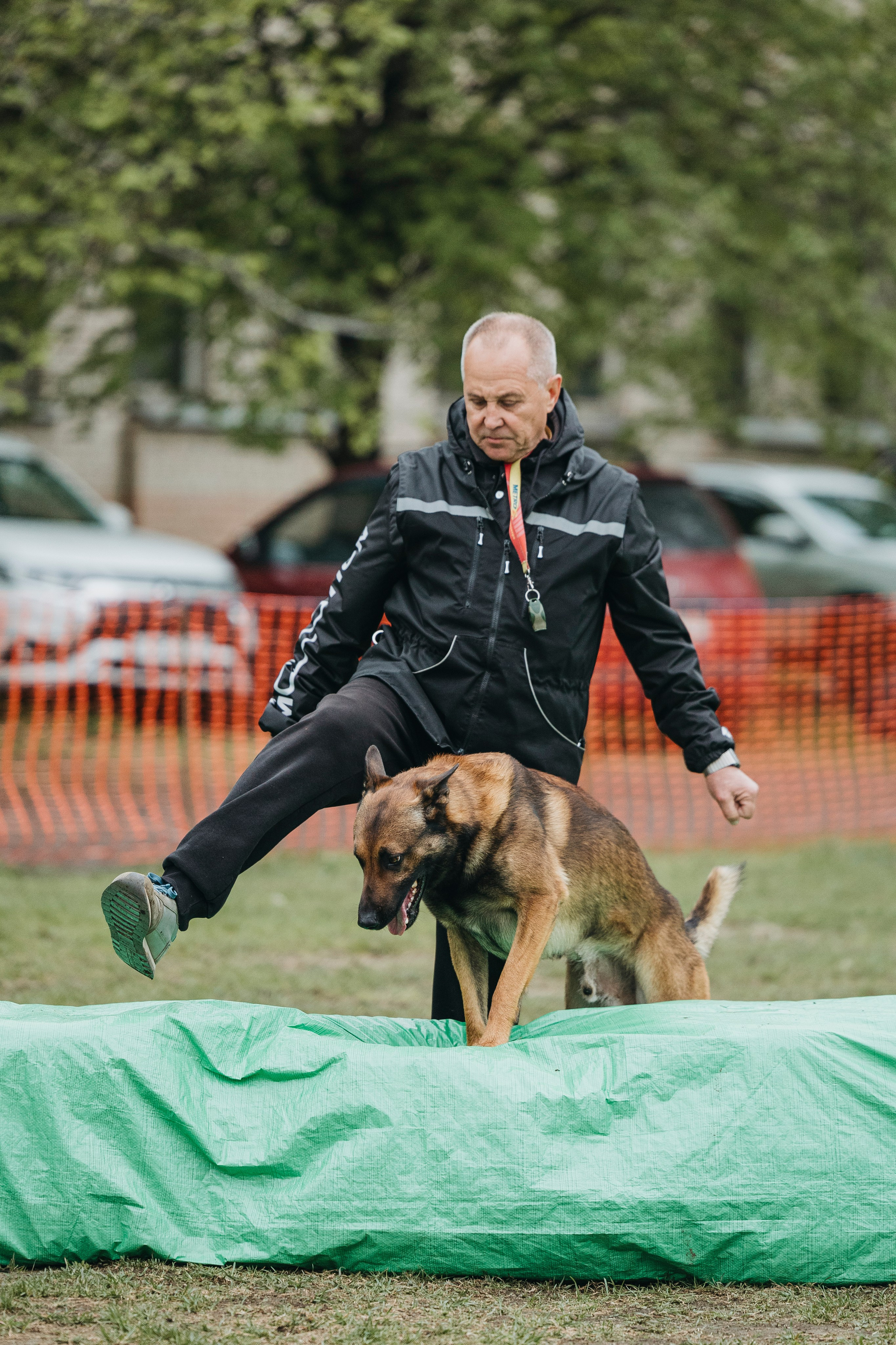 26.05.25 г. Пушкин квалификационные соревнования. Фотограф-анималист Анна Маринич