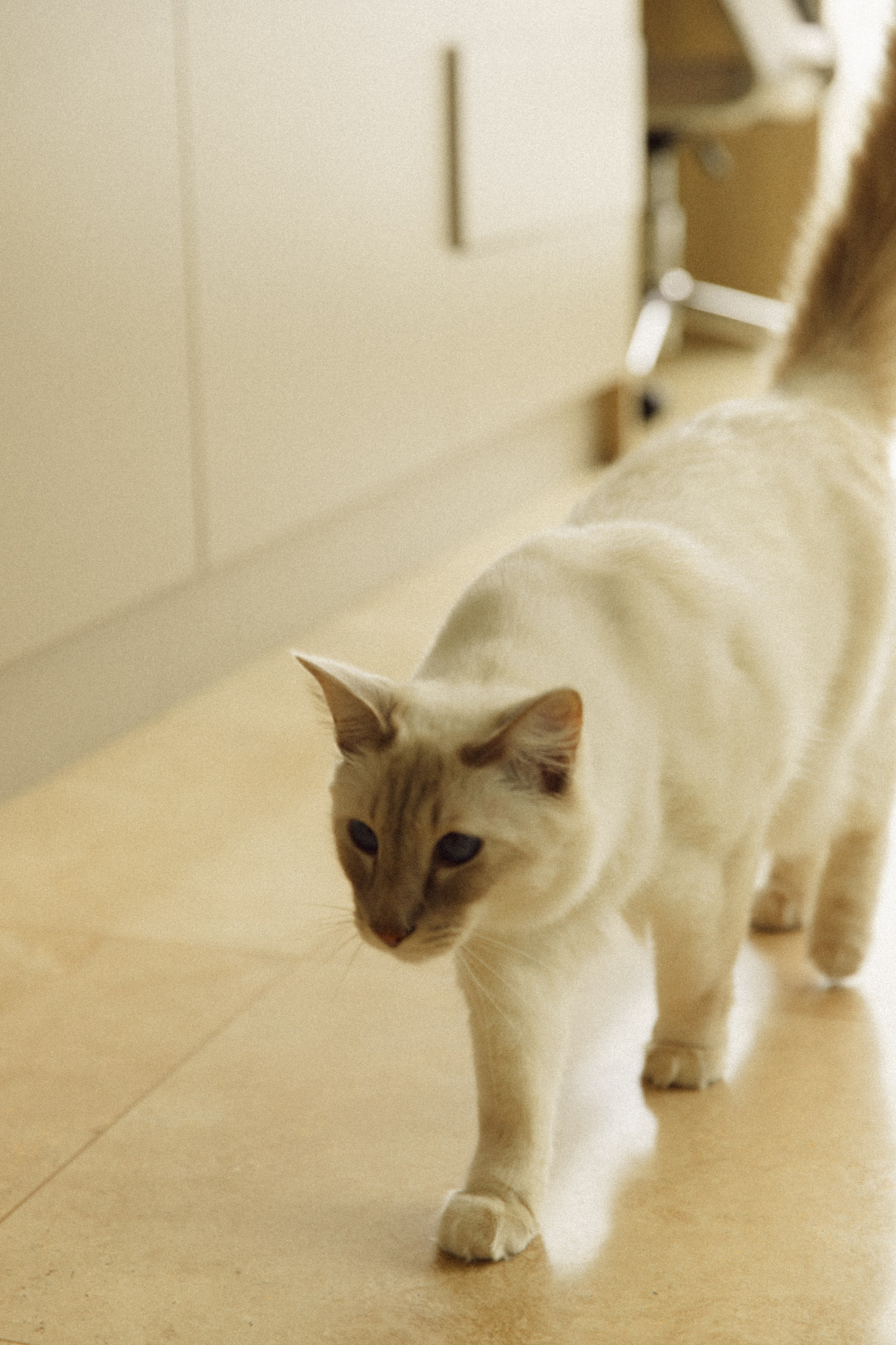 Briana+Fran. Портретный фотограф / Панама / Анастасия Елизарова