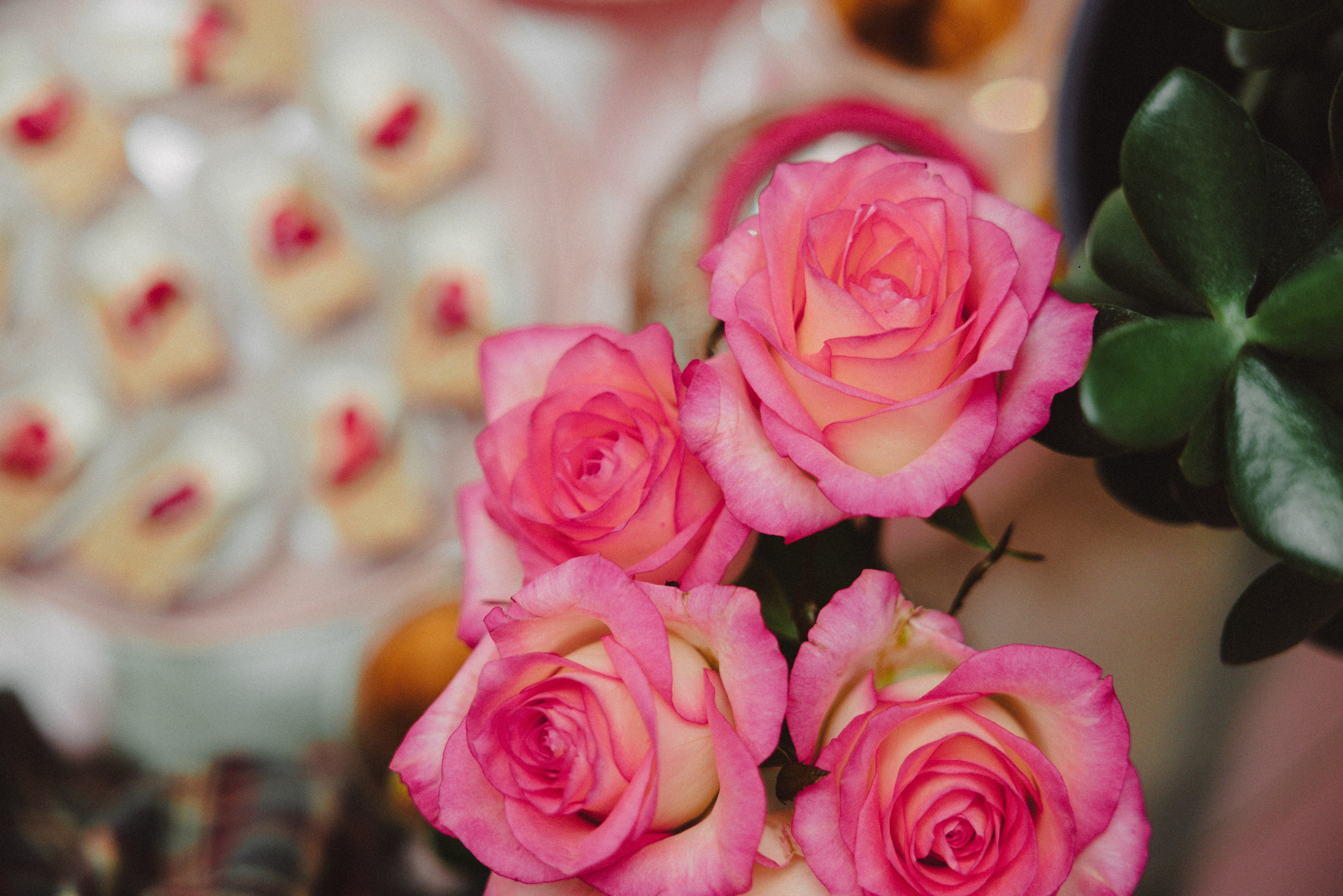 YOGALOGIC — Студия йоги Йогахолик | Москва. ФОТОГРАФ ИРИНА ШАМАТАВА