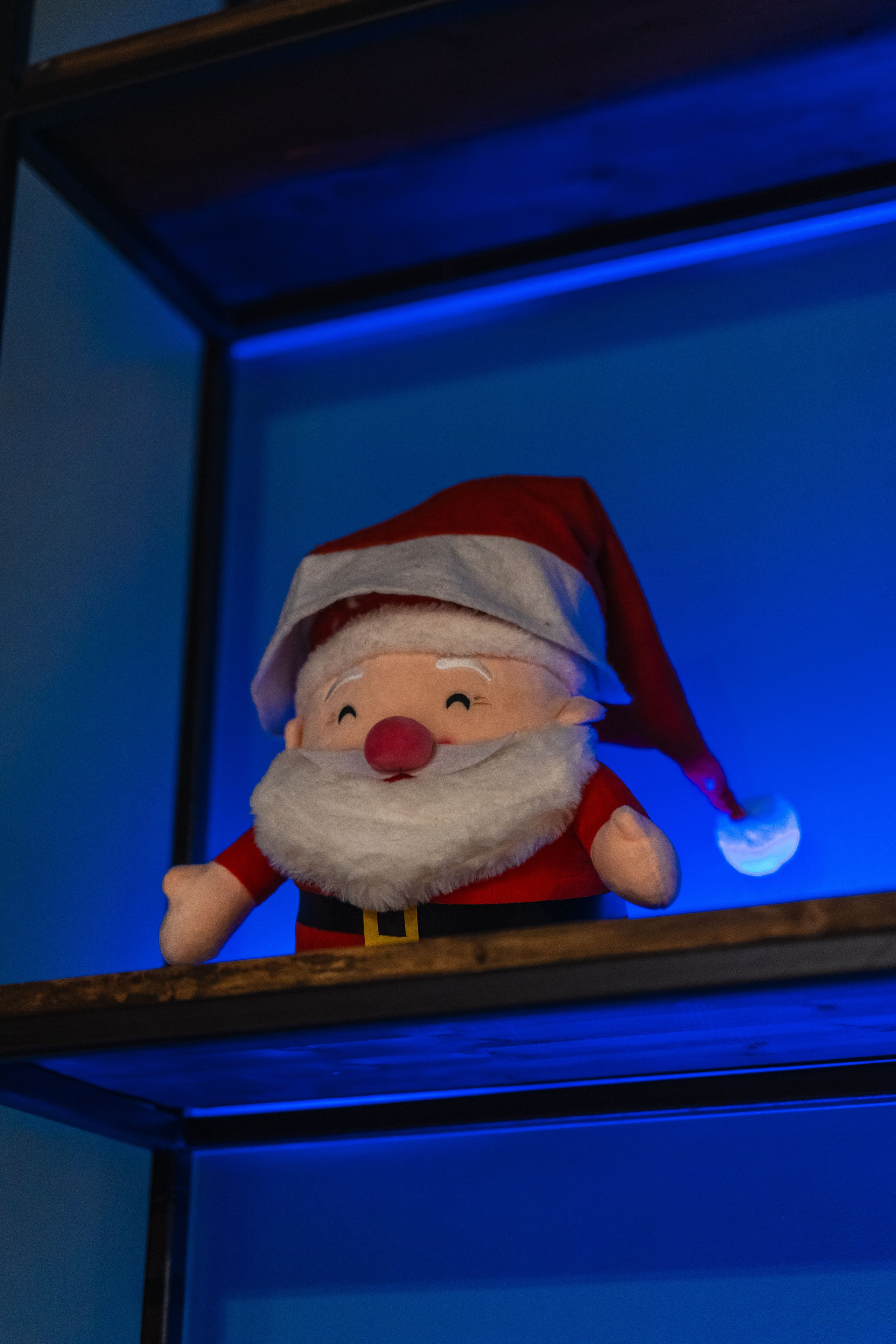 Show Today. Репортажный фотограф в Новосибирске