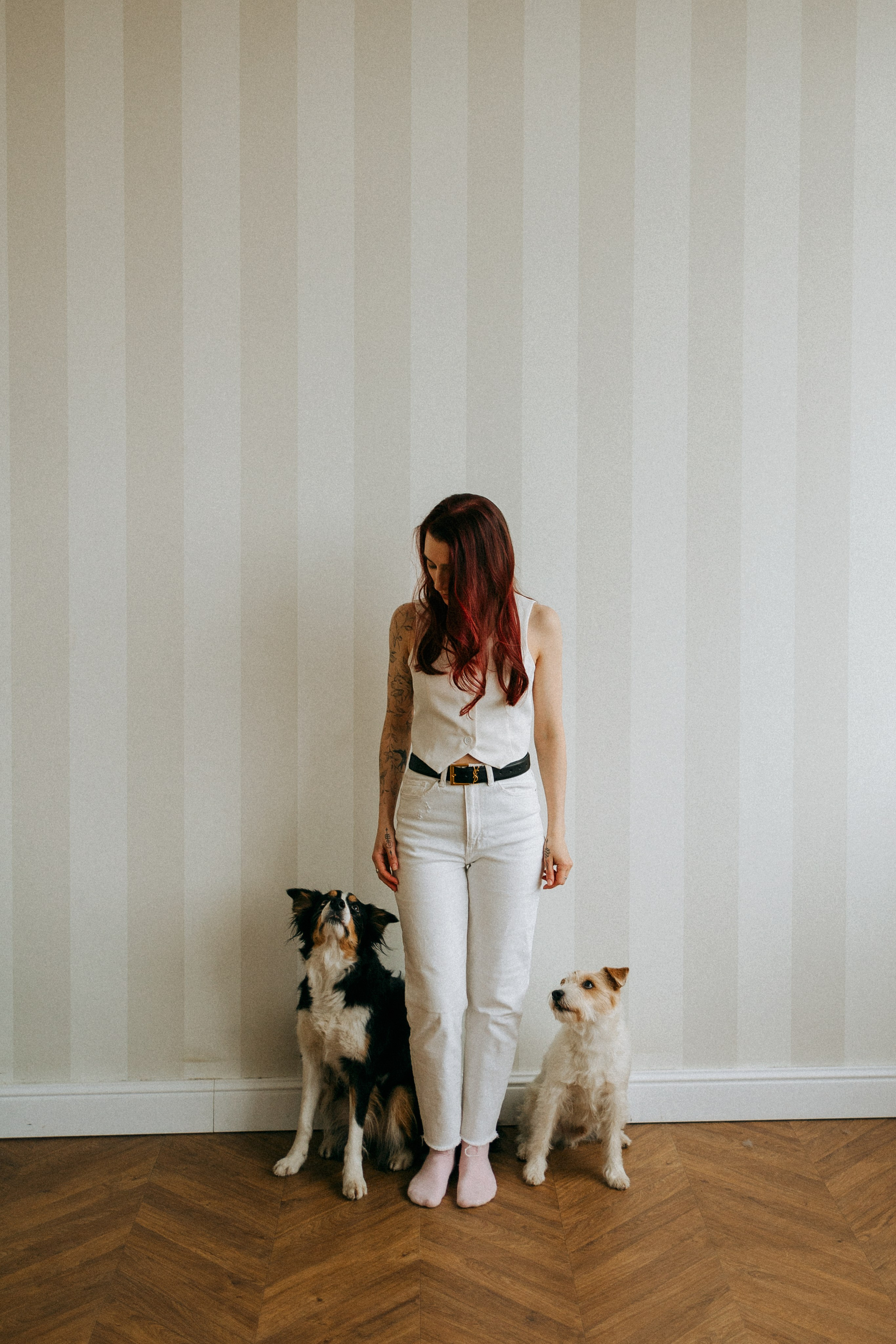 Цунами, Теон и Женя. Фотограф анималист Анастасия Пикей