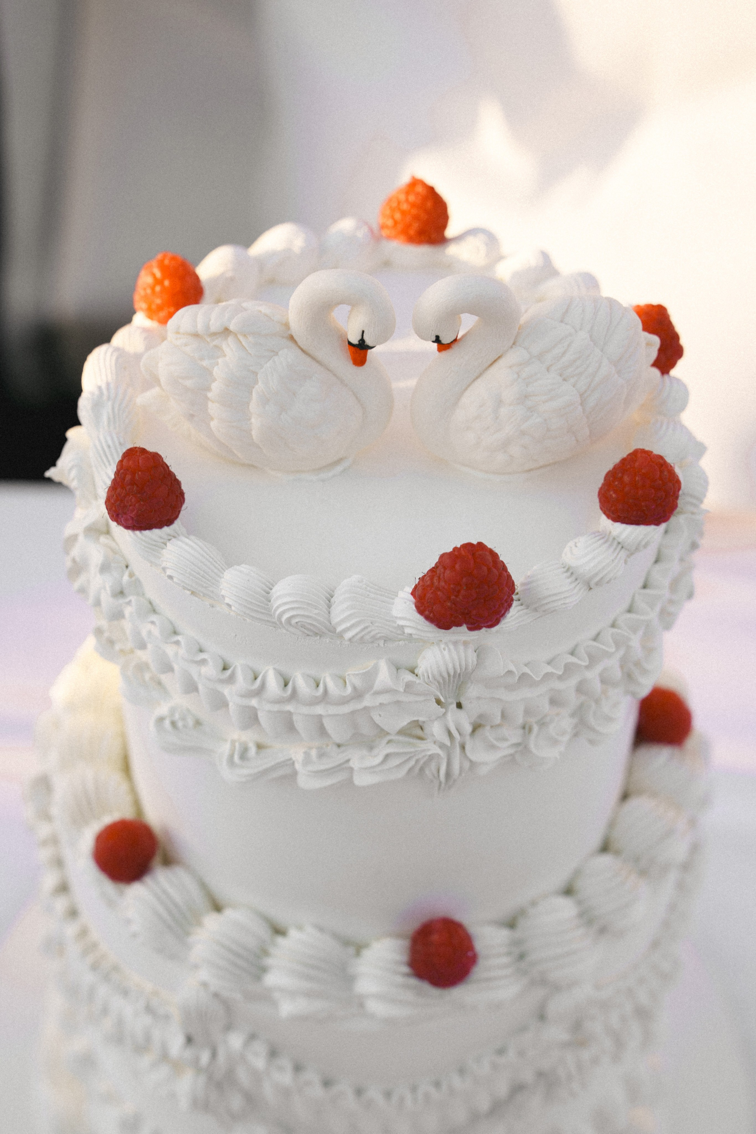 Антон и Диана. Свадебный фотограф Михаил Мирзоян