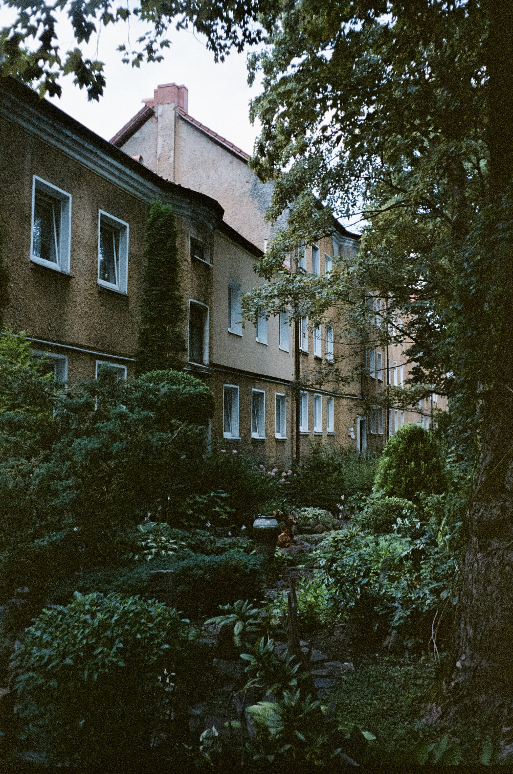 11 июля Светлогорск улочки / Minox 35 GT (2) / Kodak Portra 400 VC @ISO 100