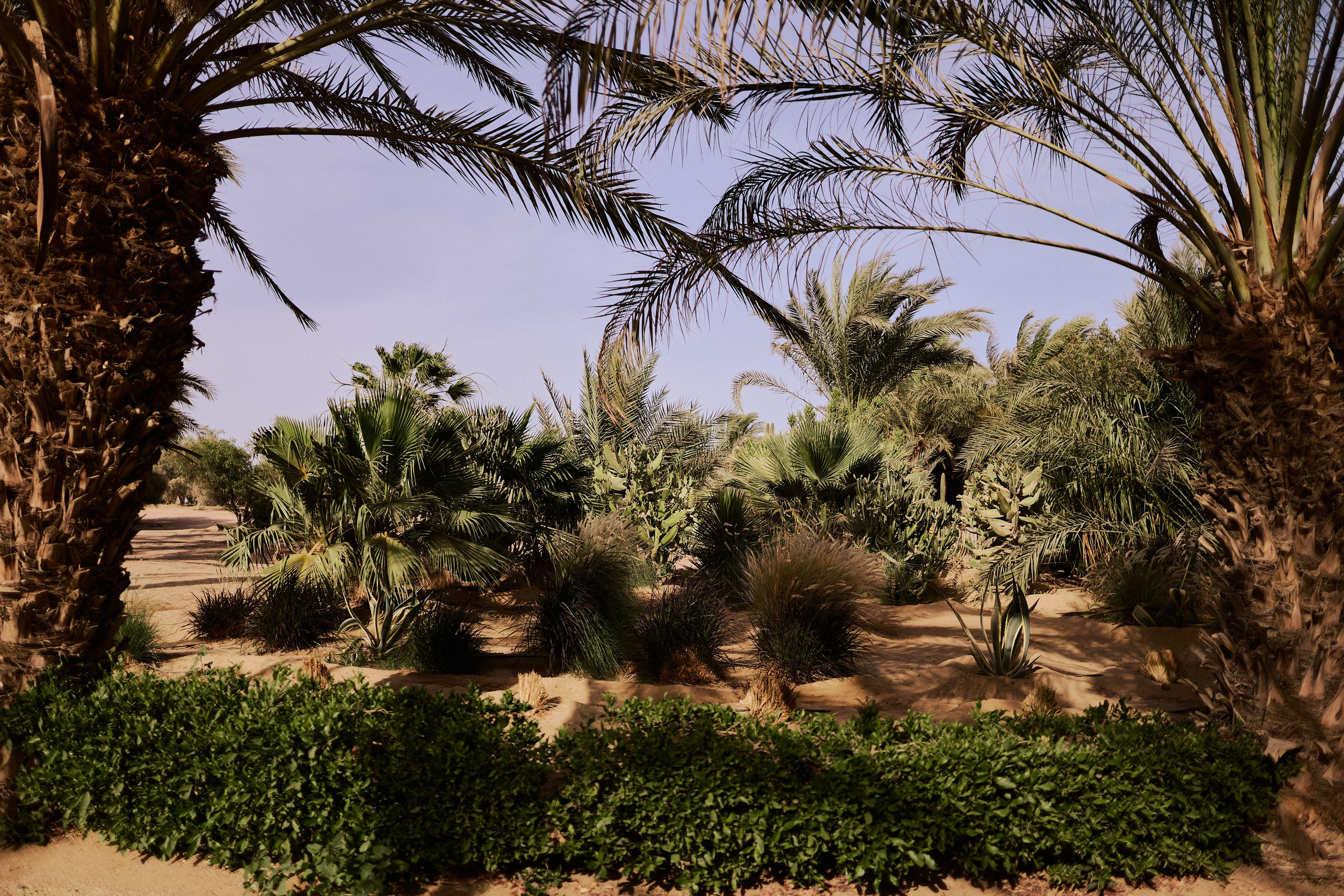 Улица горизонтальная. Jorgis — фотограф в Хургаде / обучение фотографии