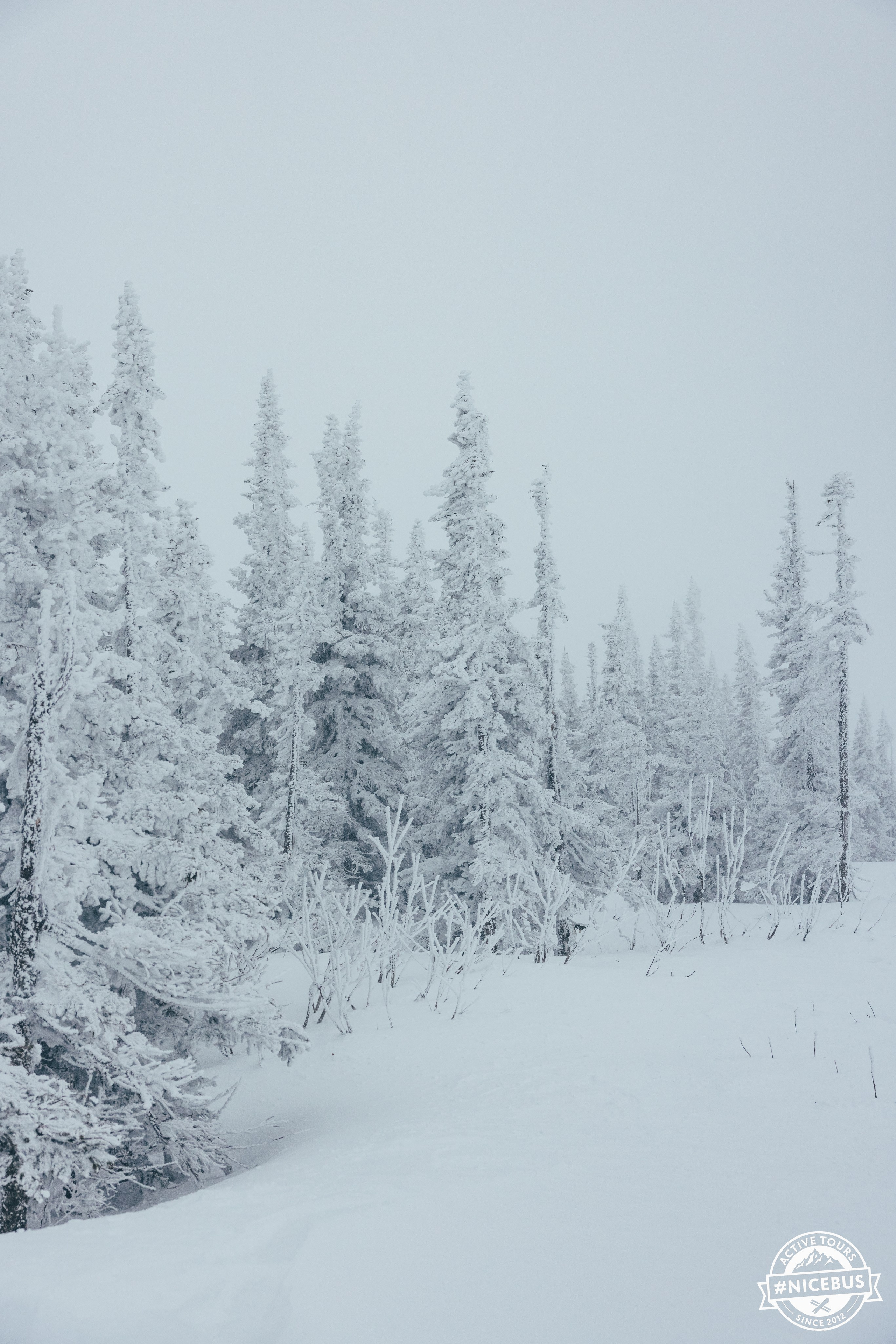 Шерегеш. Фотограф в Красноярске Евдокимова Анастасия