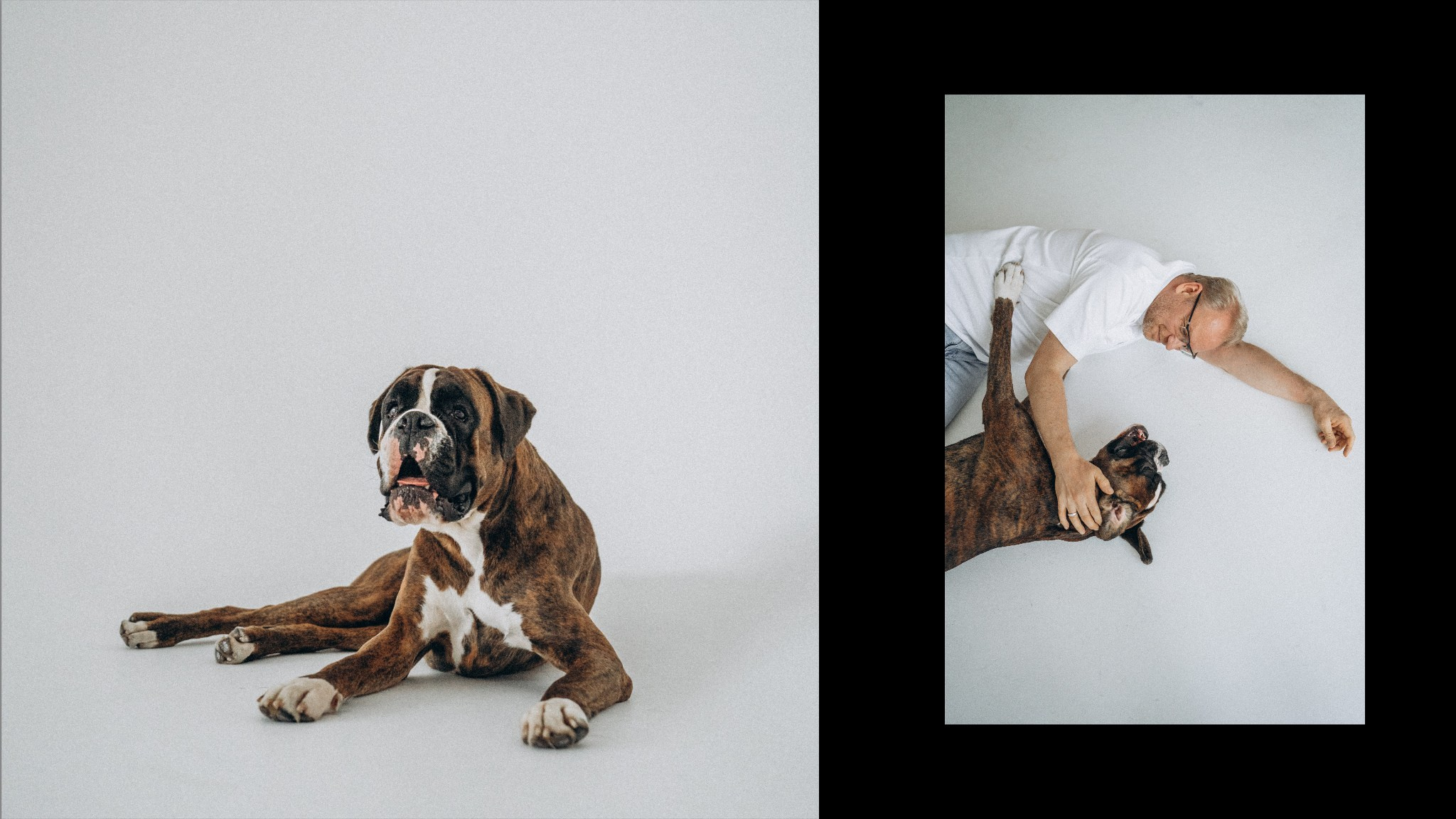 Анна, Максим и Марсель. Фотограф анималист в Москве и Санкт-Петербурге Свиридова Анна