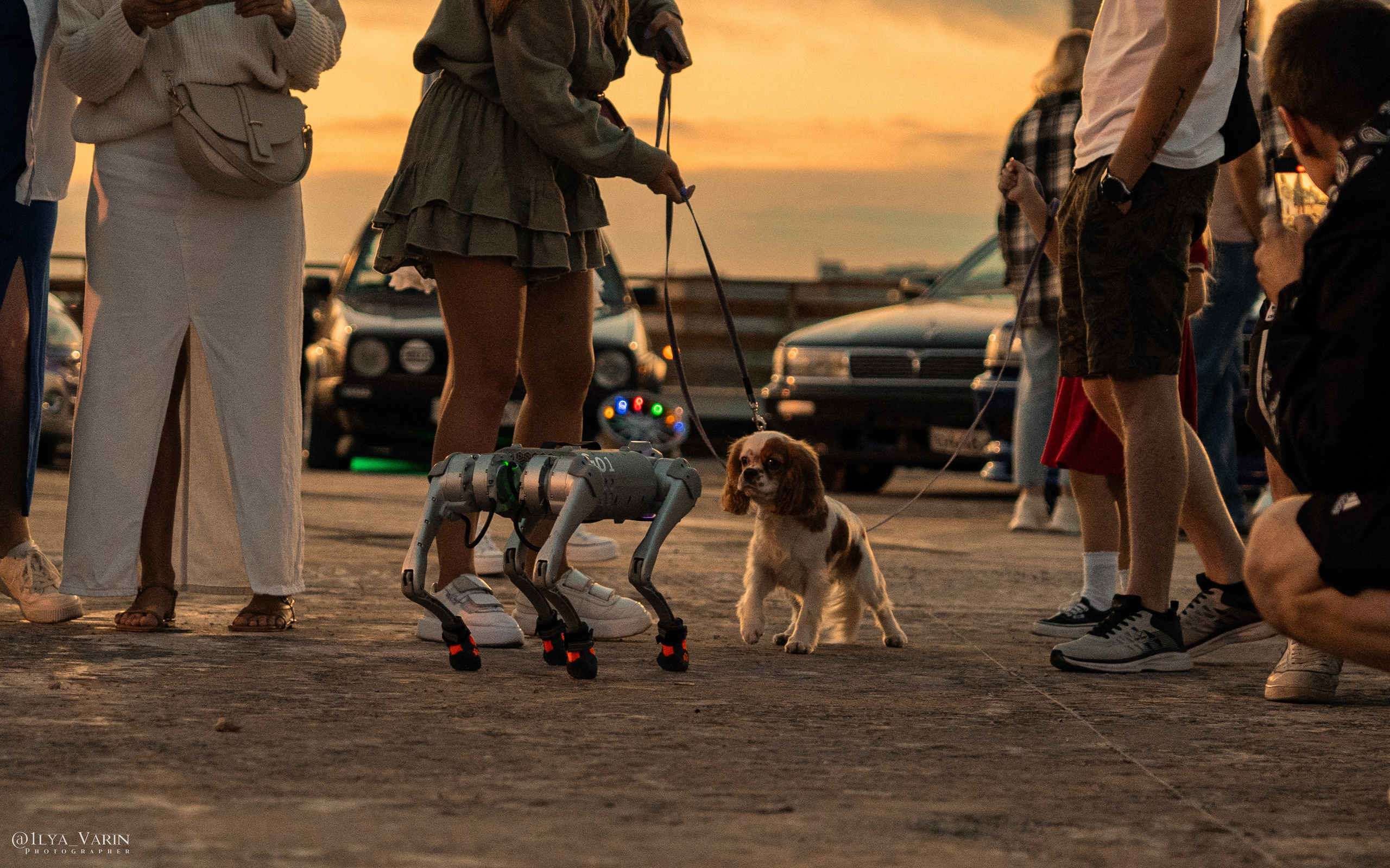 Автофест. РЖД арена. Илья Варин — Фотограф Москва, Тверь