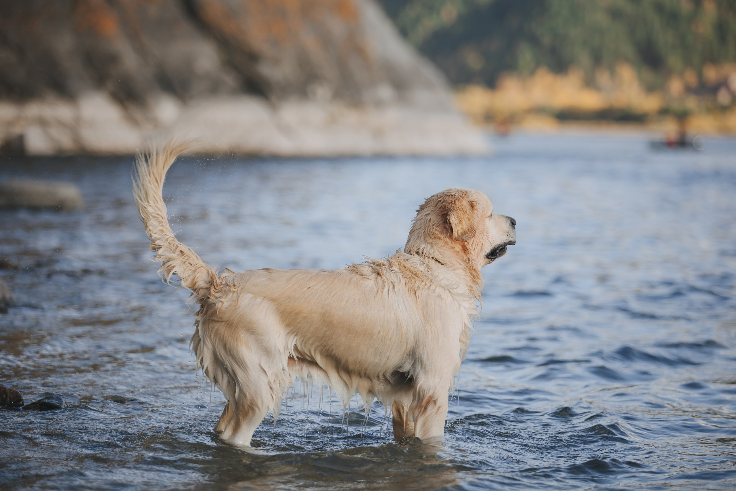 Снежик и Веста. Свадебный и женский фотограф