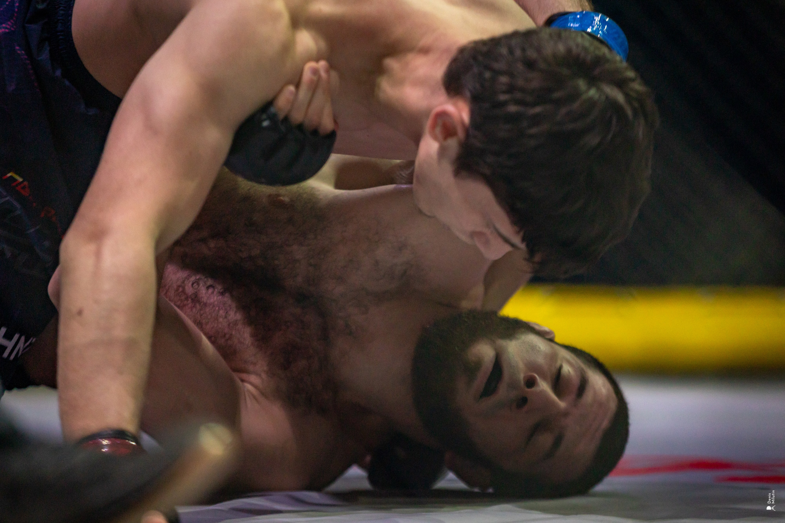 Бои в клетке «Северный Воин». Портретный фотограф Денис Милютин