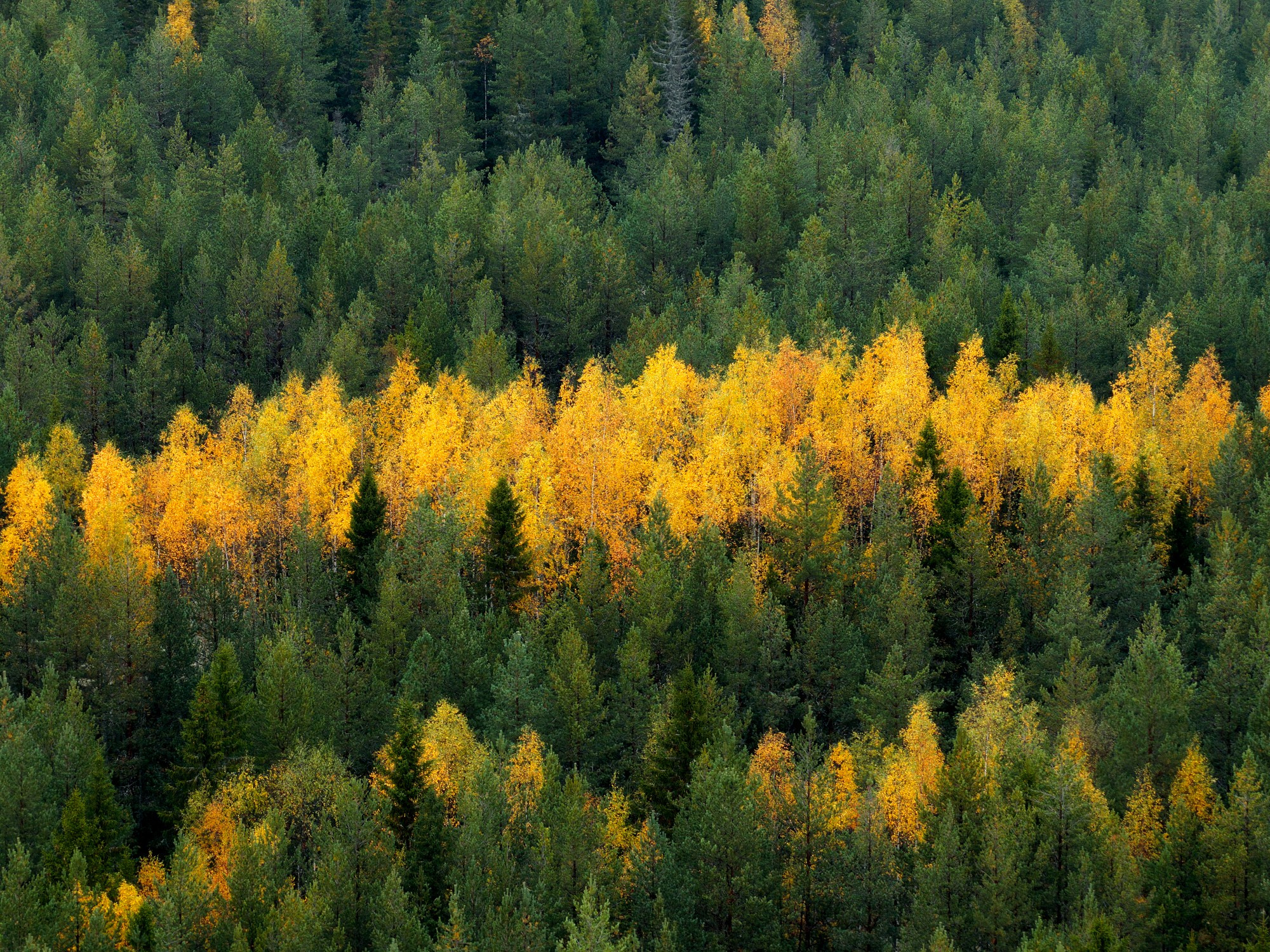 Остров Валаам. Архитектурный и пейзажный фотограф Кондратенко Руслан, Санкт-Петербург