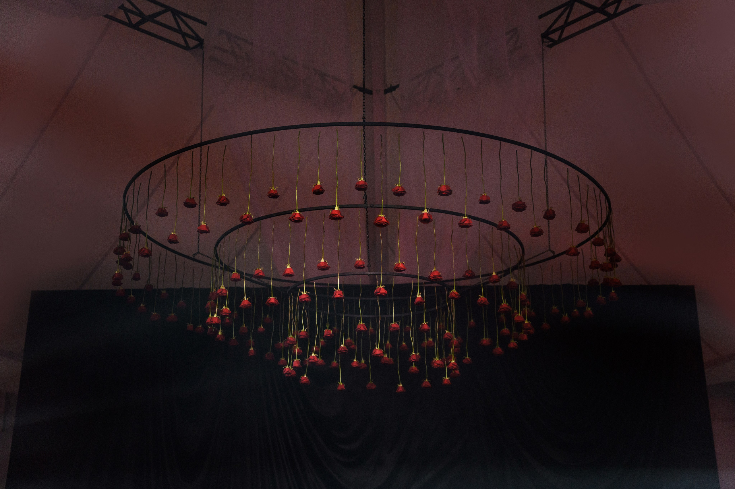 «I ROSE YOU» Нариман и София. Свадебный фотограф и видеограф