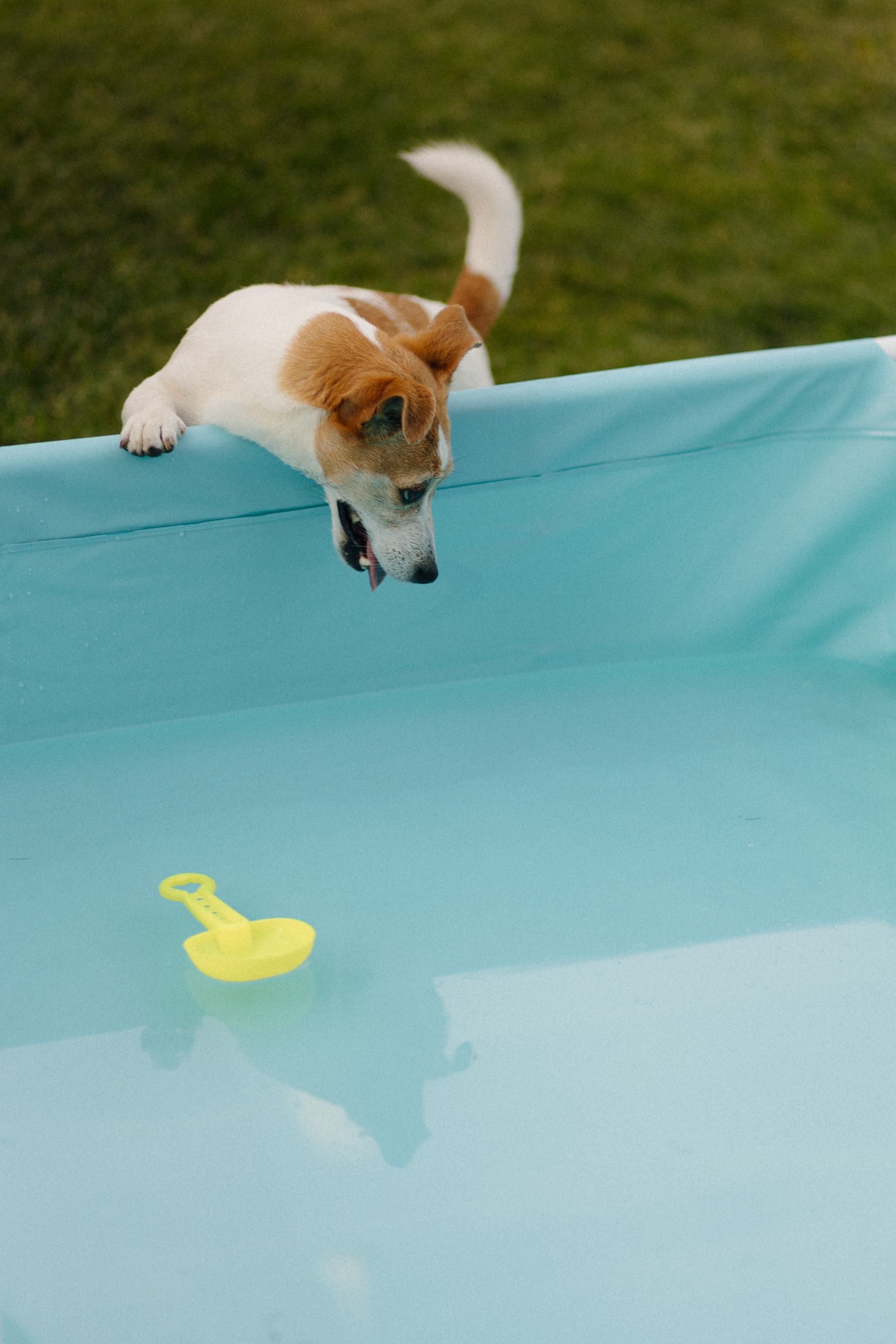 МИЛАНА. Свадебный и индивидуальный фотограф в Челябинске Евгения Негодяева