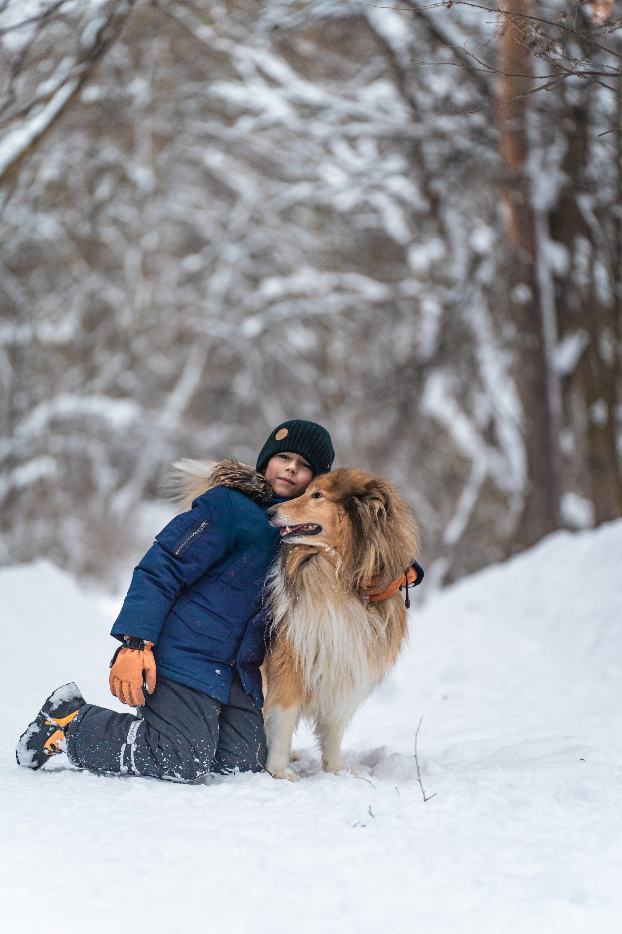 Елена, Виктор, Никита и колли Рафаэль. Фотограф в Москве Ленарская Дарья