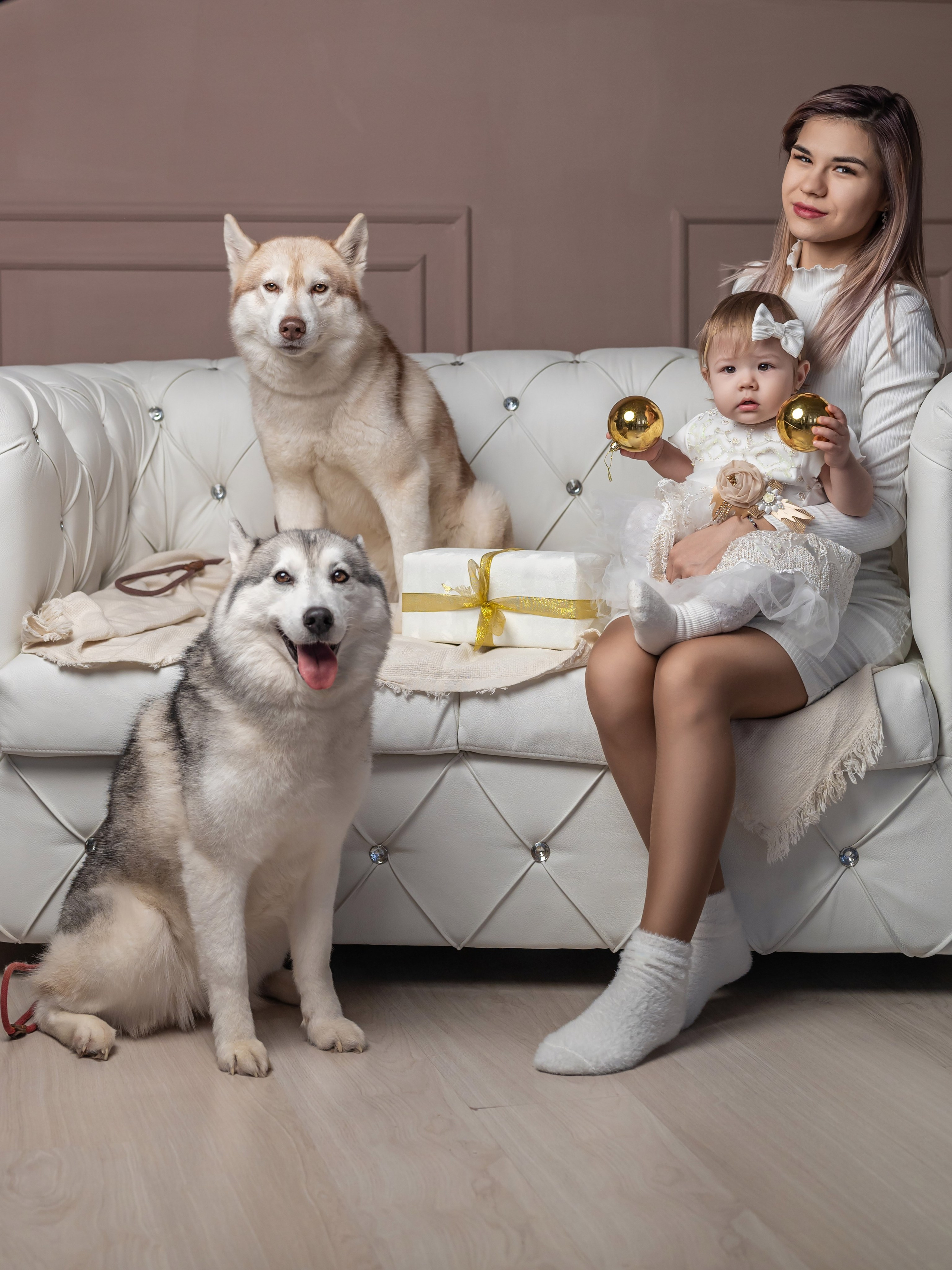 Фотопроект с хаски. Фотограф в городе Салават