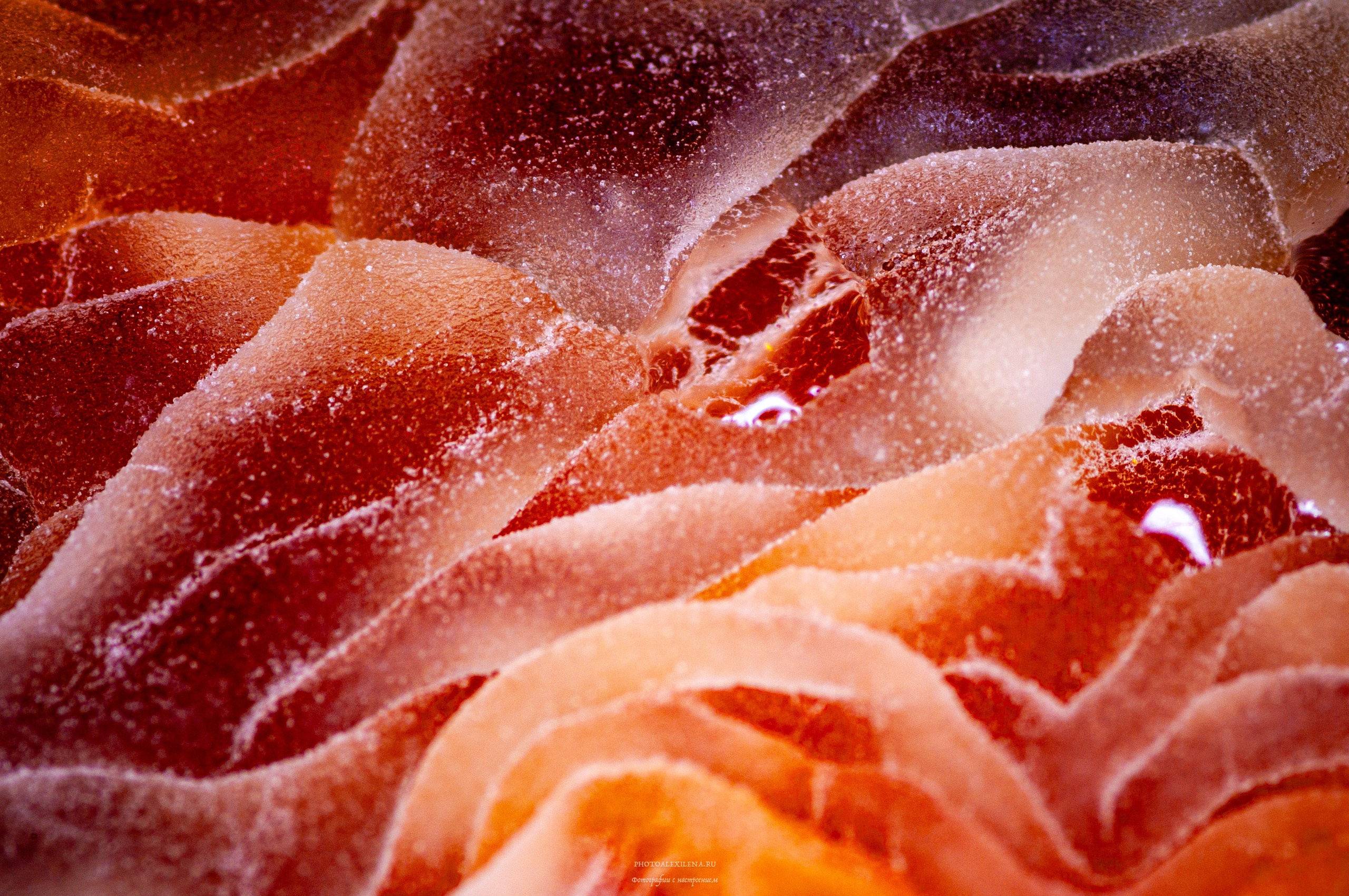 Осязаемая красота. Авторские стильные фотокартины