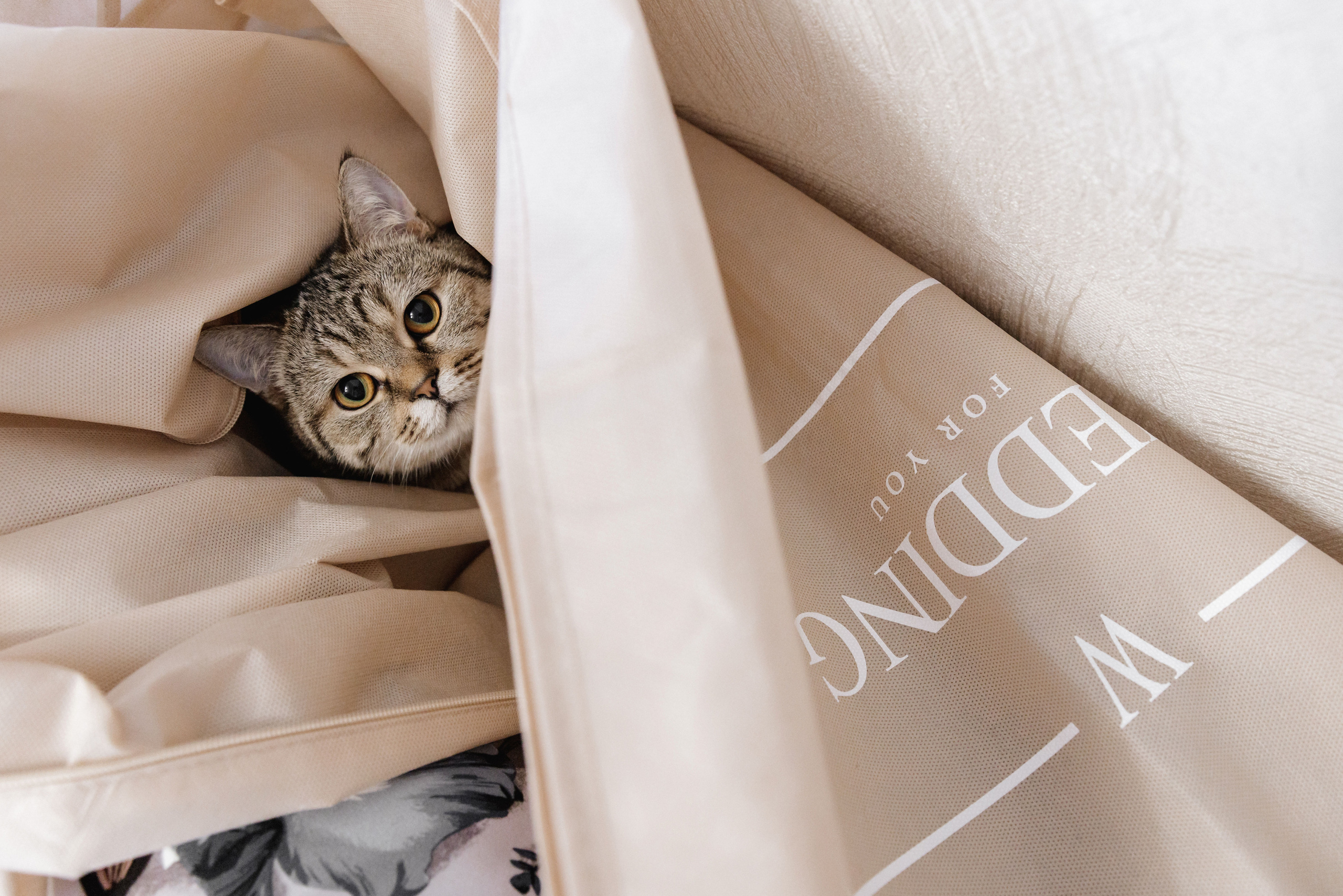 Свадебное портфолио. Свадебный фотограф в Пскове Алексей Архипов