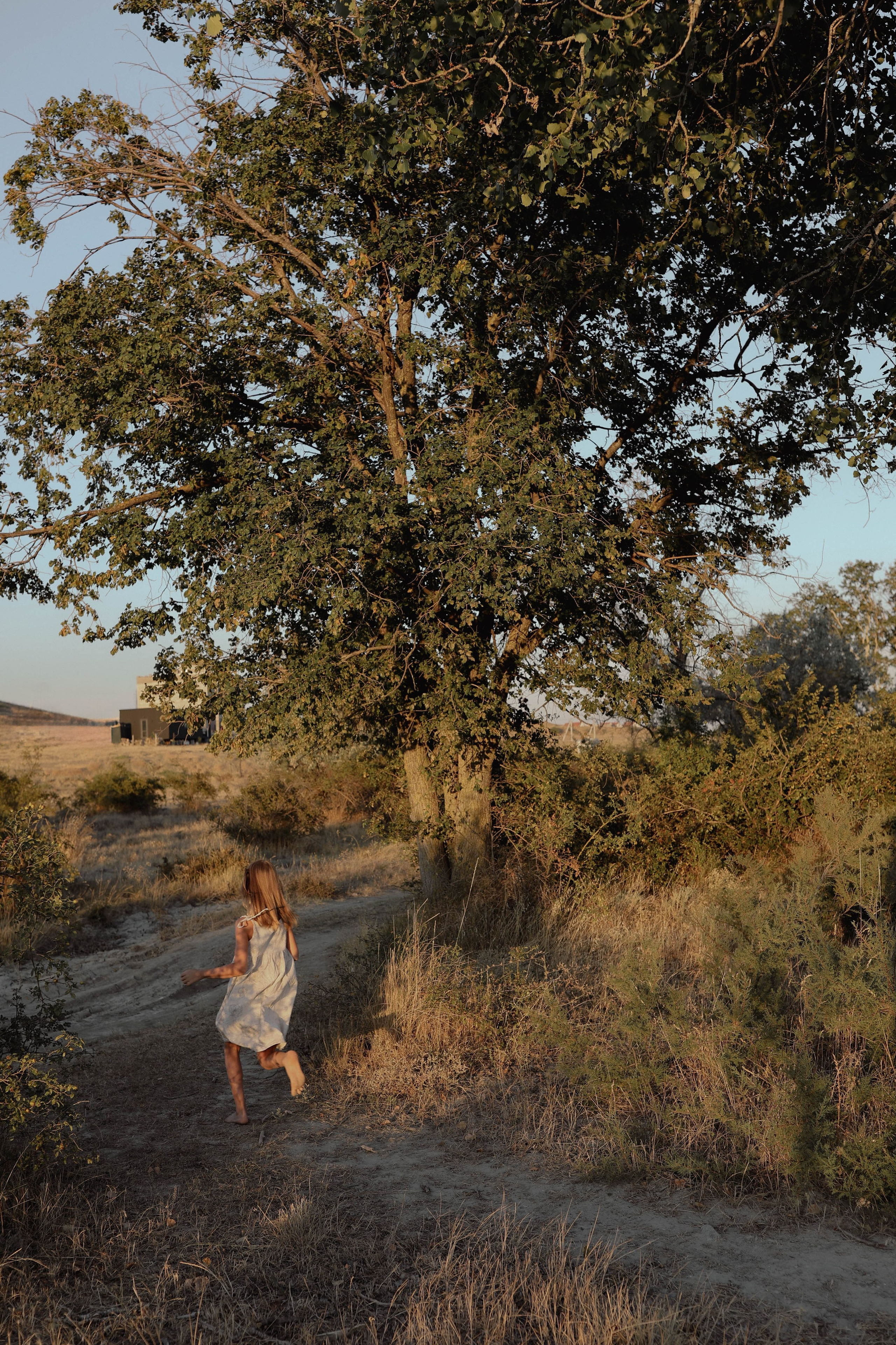 Один день из жизни Пуси. Свадебный и семейный фотограф Судак, Крым, Симферополь, Феодосия, Коктебель и по России