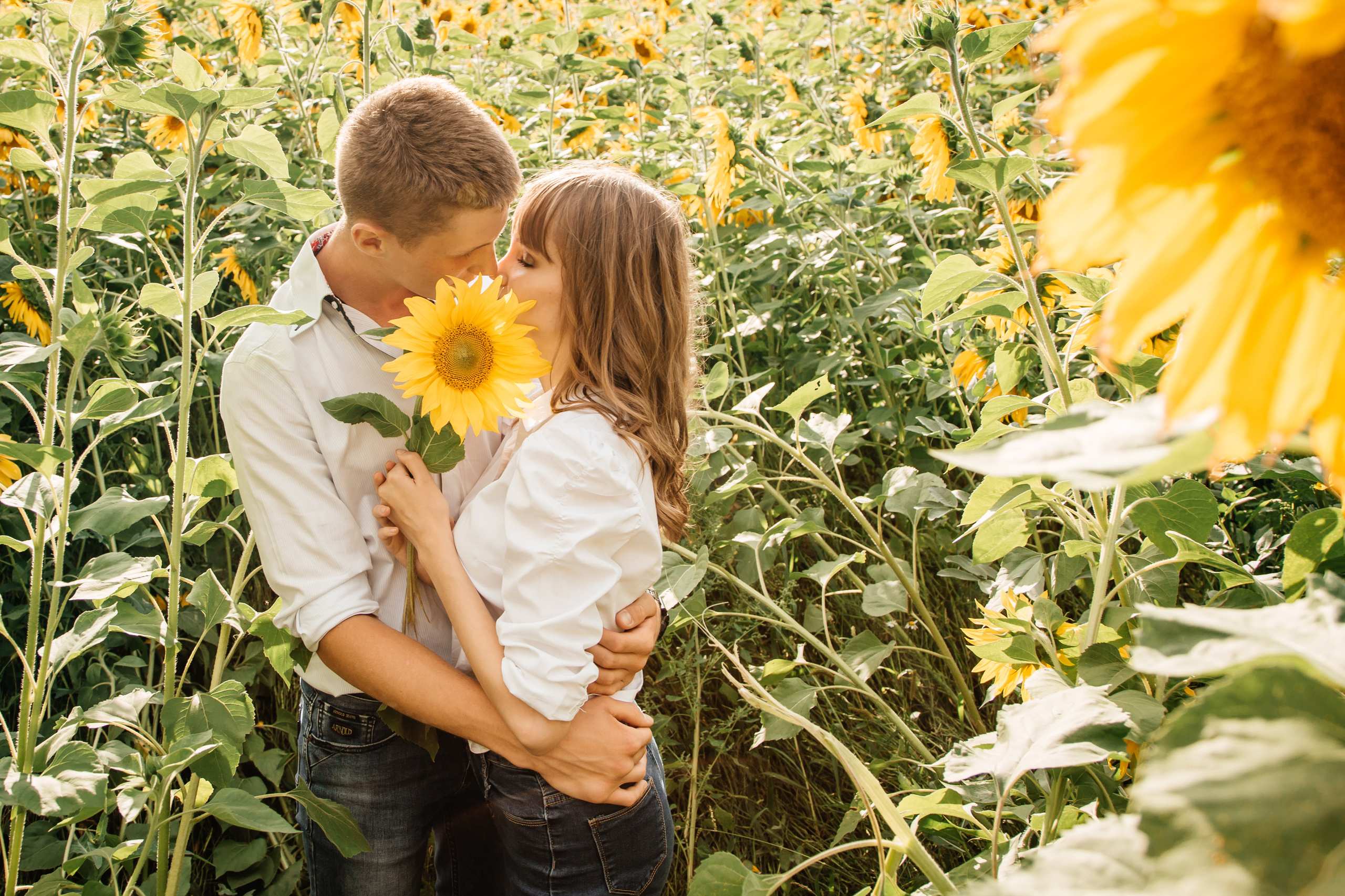Катя и Кирилл. Свадебный и семейный фотограф в Новосибирске Ирина Дорошкова