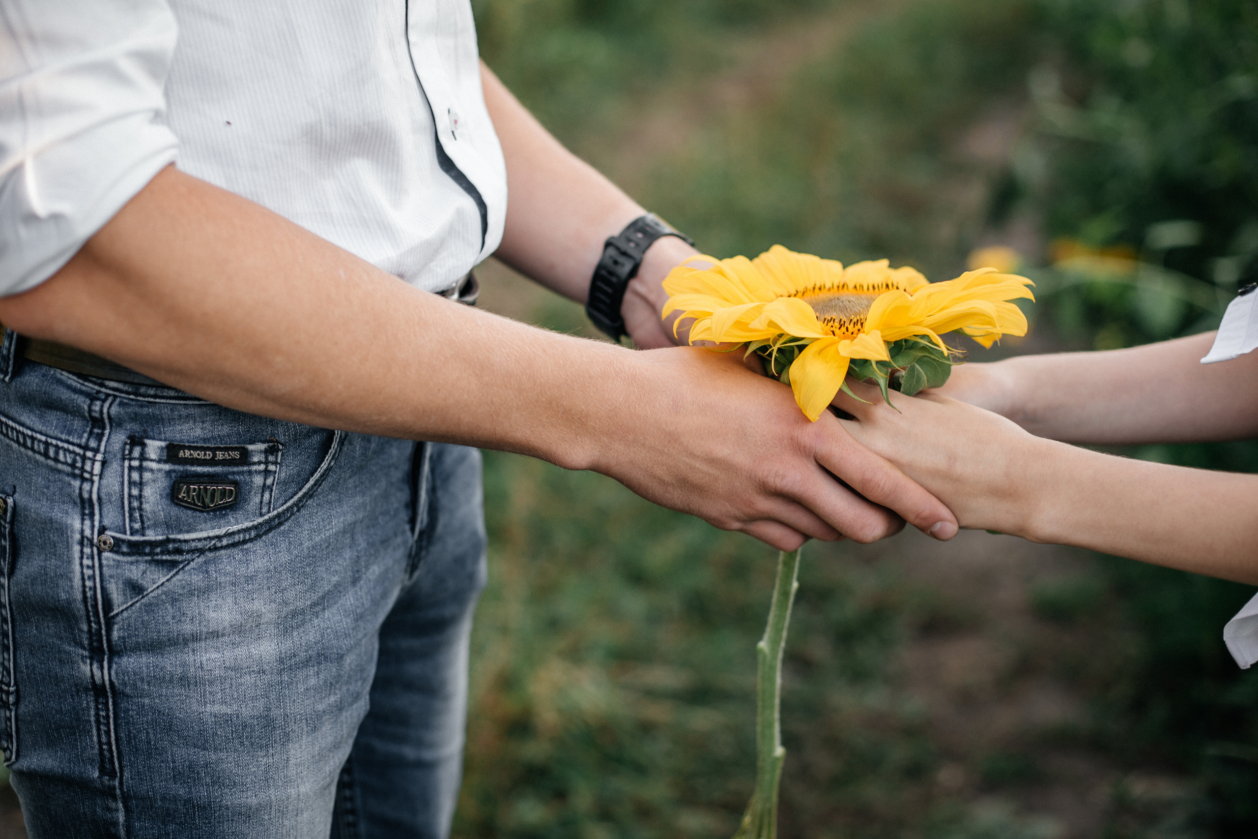 Катя и Кирилл. Свадебный и семейный фотограф в Новосибирске Ирина Дорошкова