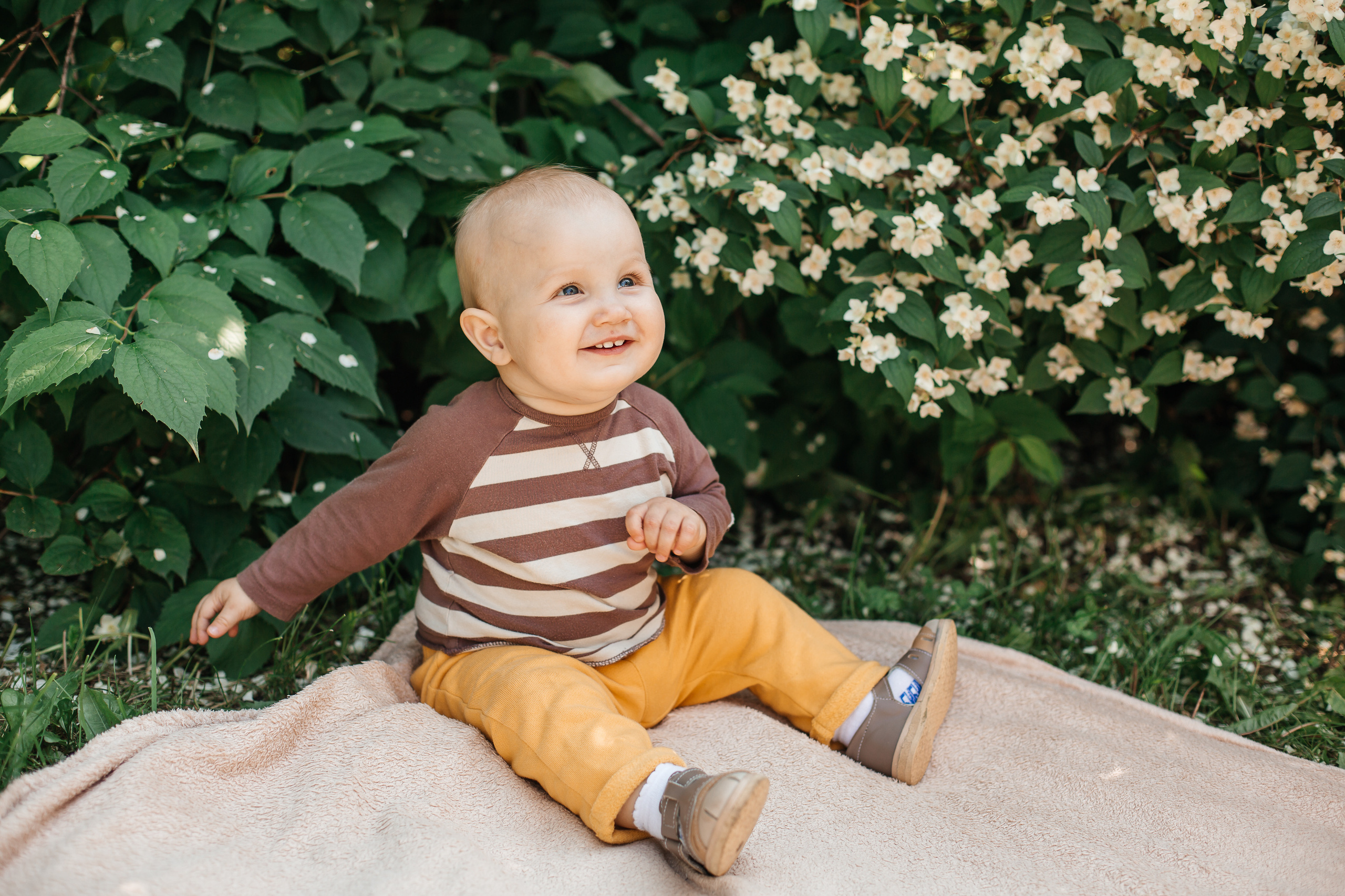 Юля, Павел и Мироша. Свадебный и семейный фотограф в Новосибирске Ирина Дорошкова