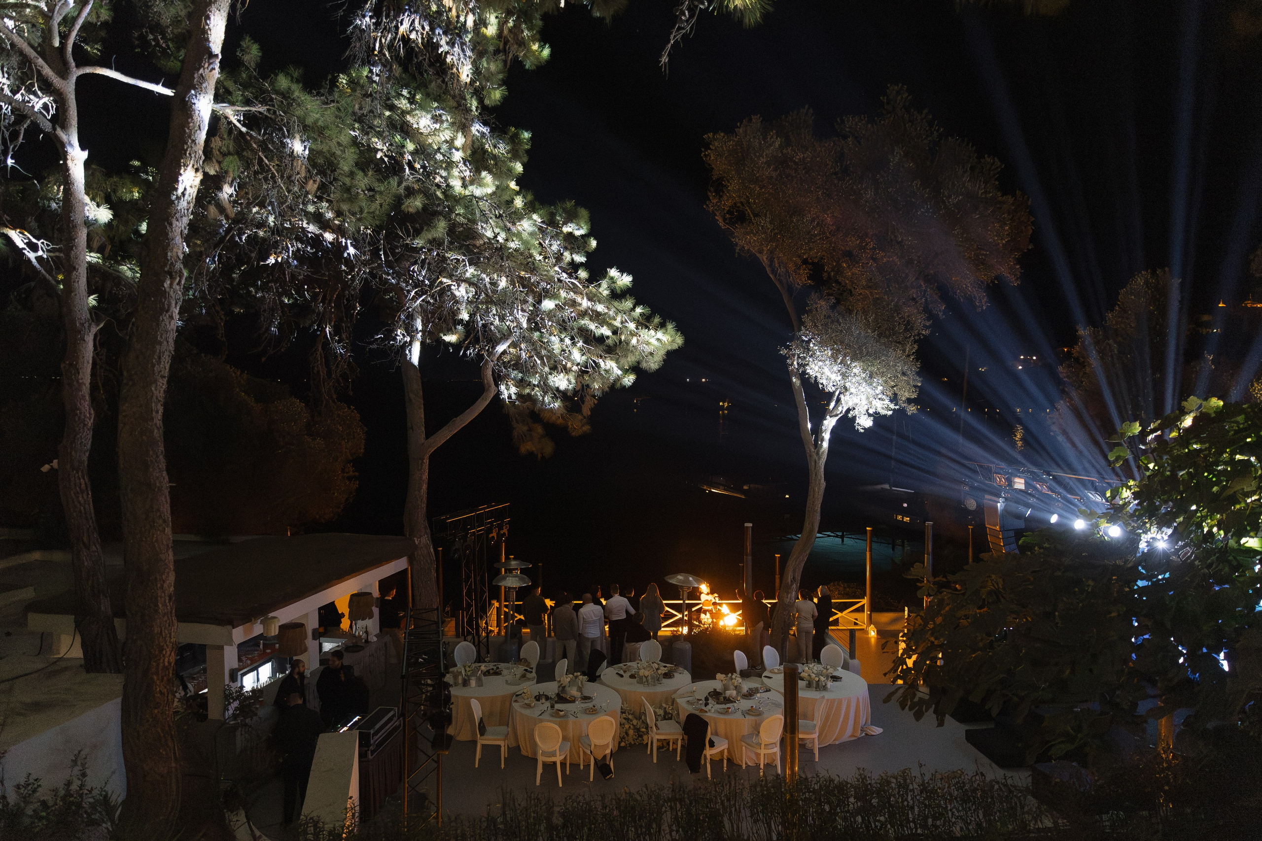 Алиса | Антон