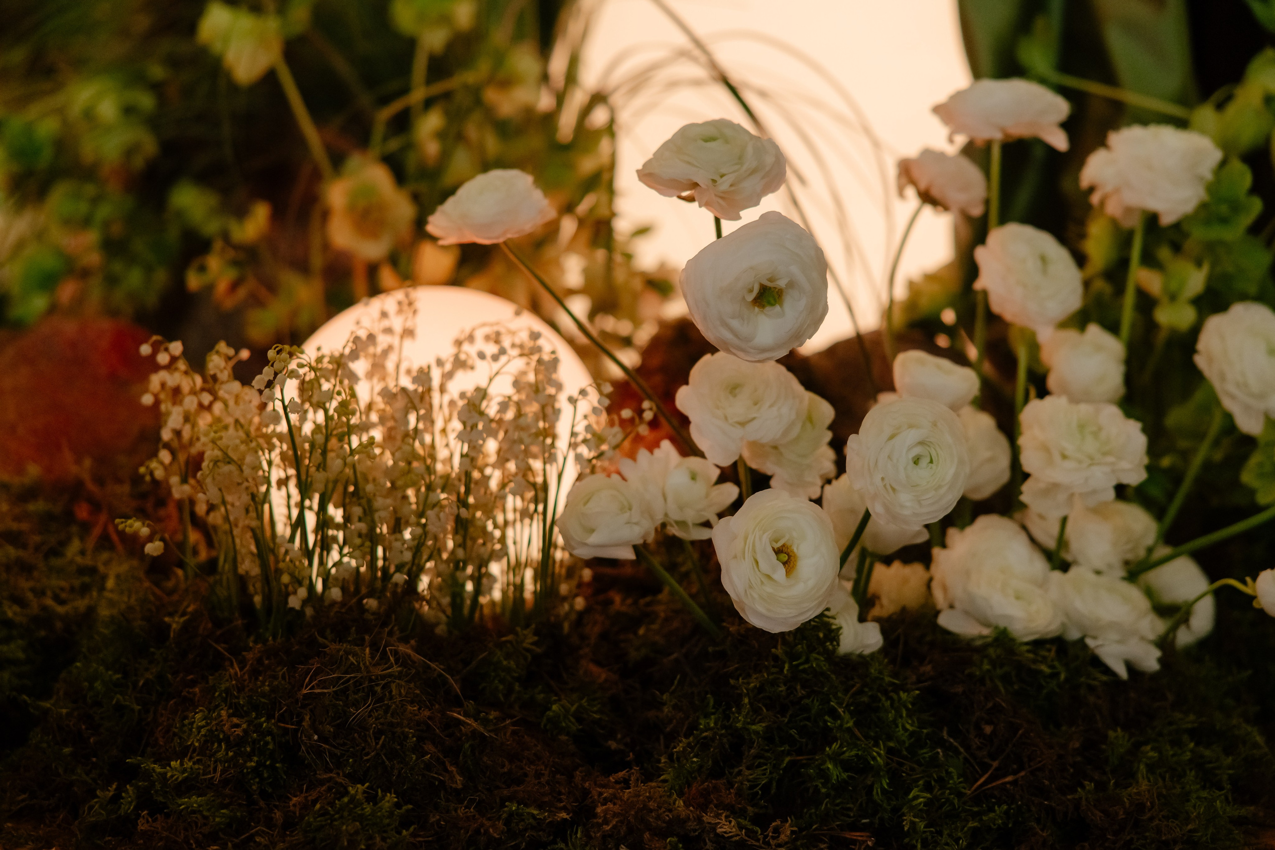 Юбилей. Свадебный фотограф Владислав Адышкин