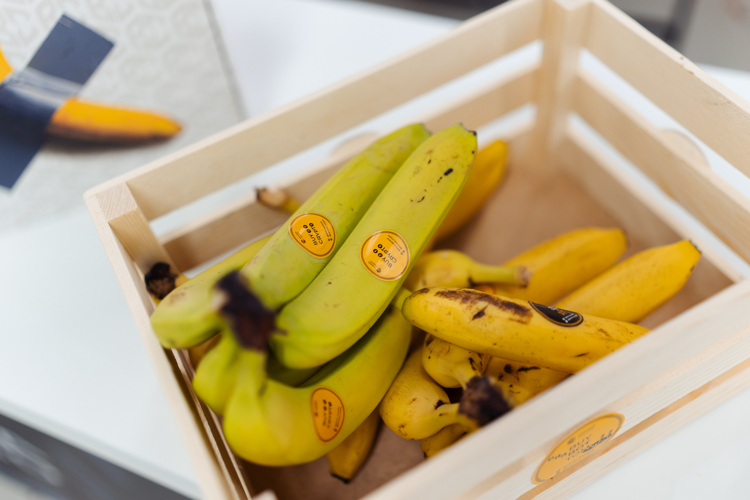 III Kryptoforum Kazan X promminer. Фотограф в СПБ Алмаз Камаев