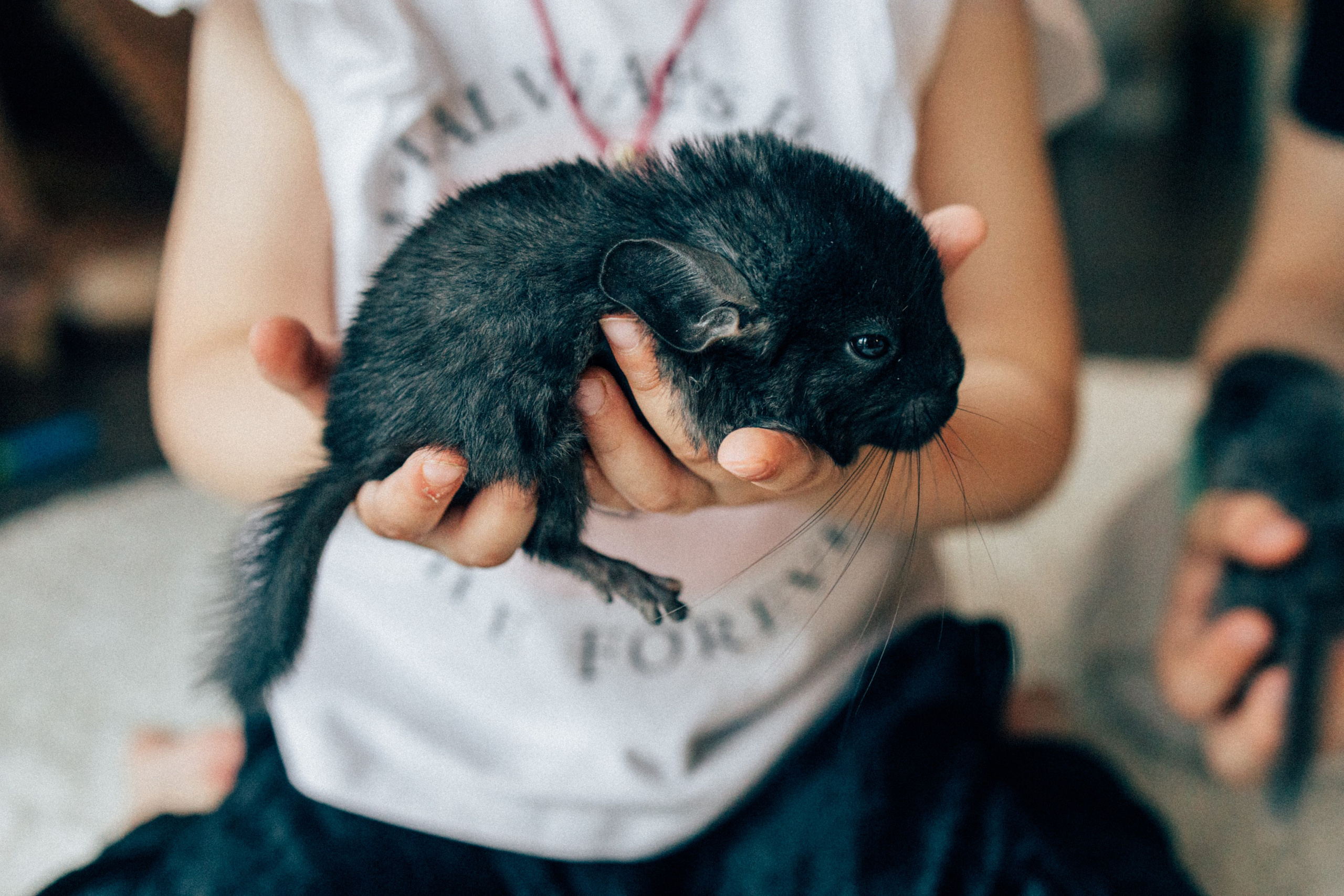 Lifstyle Фролкины. Семейный, женский и детский фотограф Татьяна Колобаева