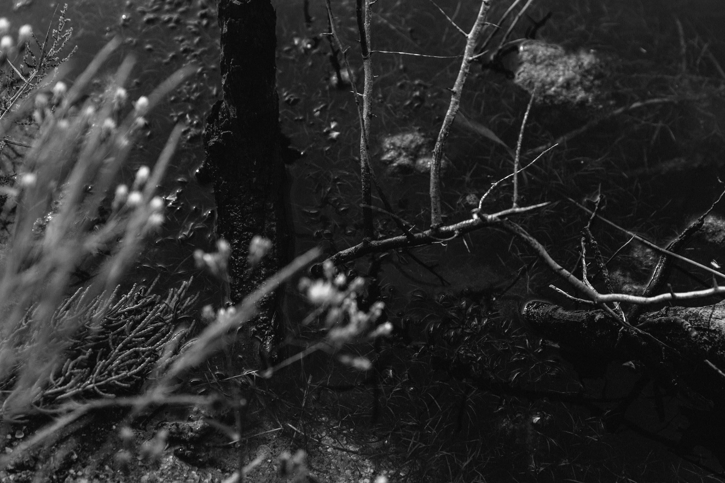 Оля. Фотограф Алутера Ирина