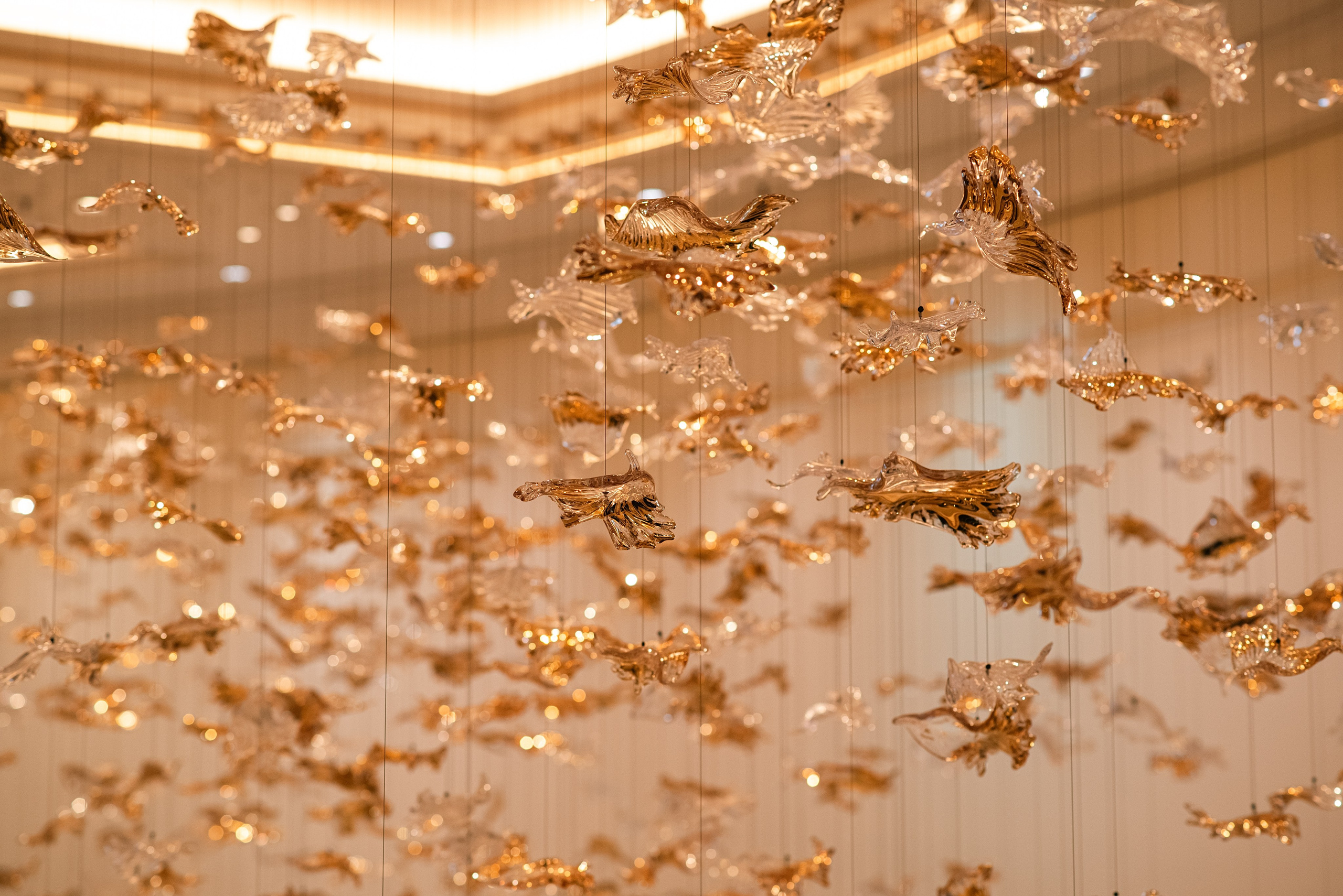 The Carlton. Фотограф, визажист. Москва