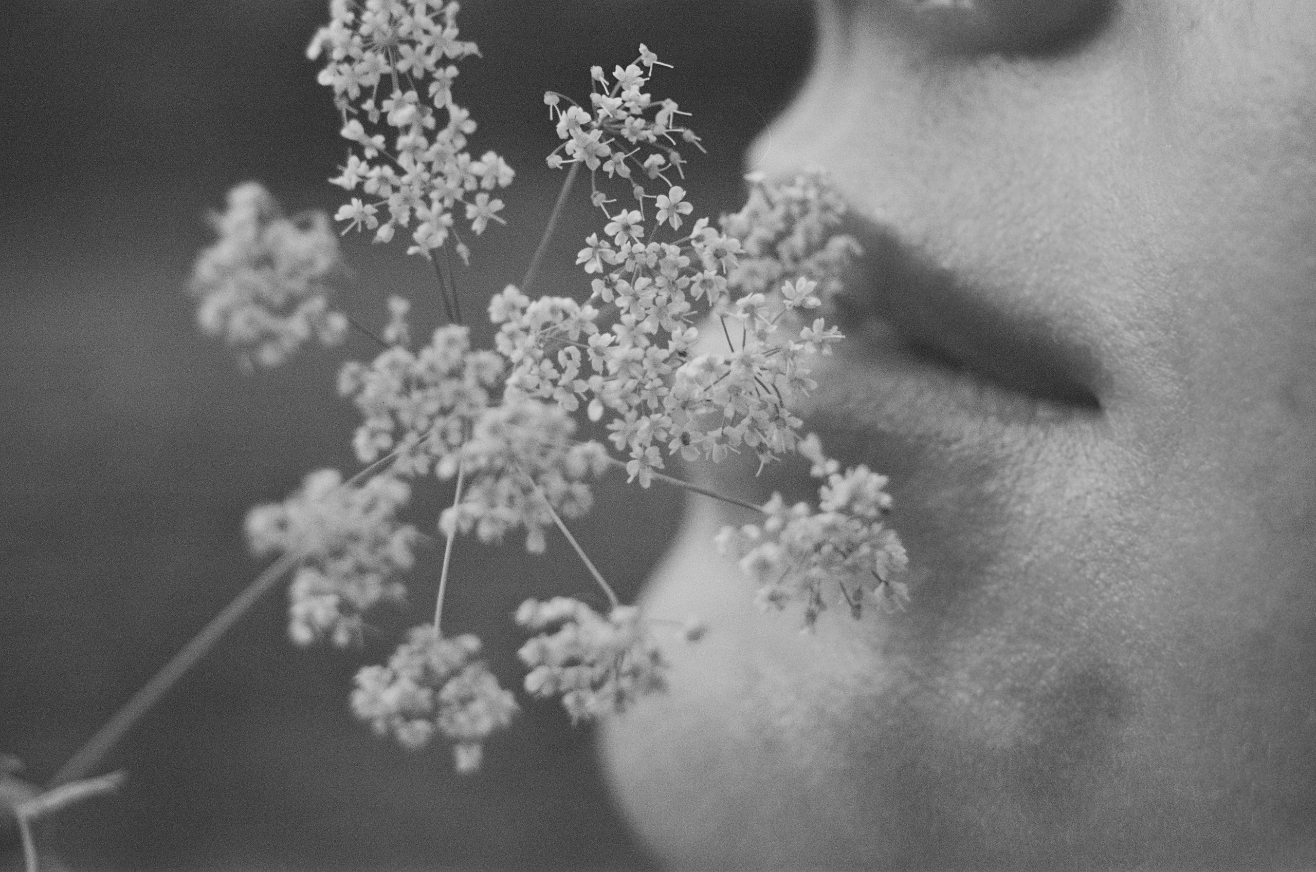 Плёнки. Портретный фотограф в Санкт-Петербурге Диана Аксёнова