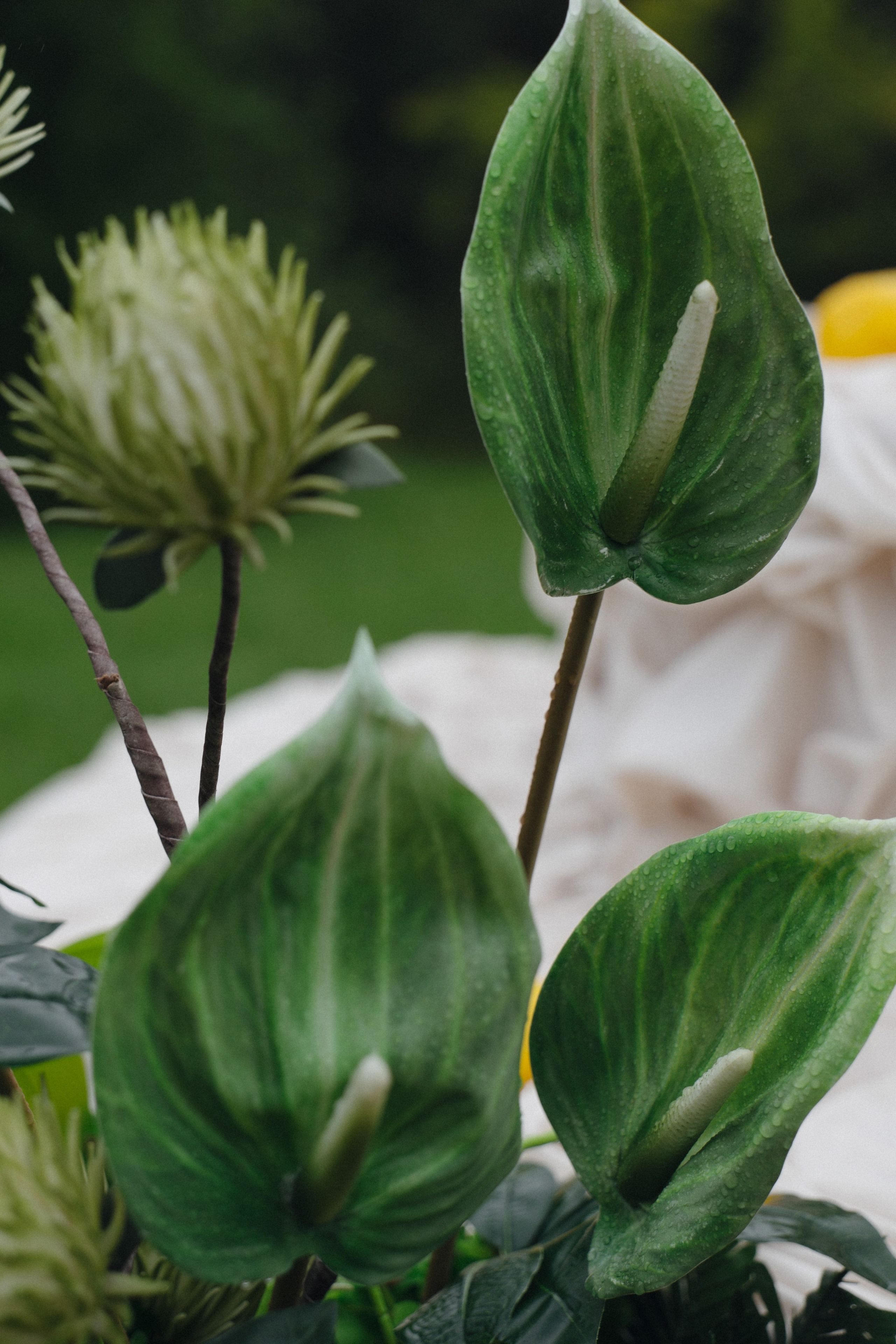 Один на миллион🍋. Свадебный и Love story фотограф Никита Хуска город Пермь