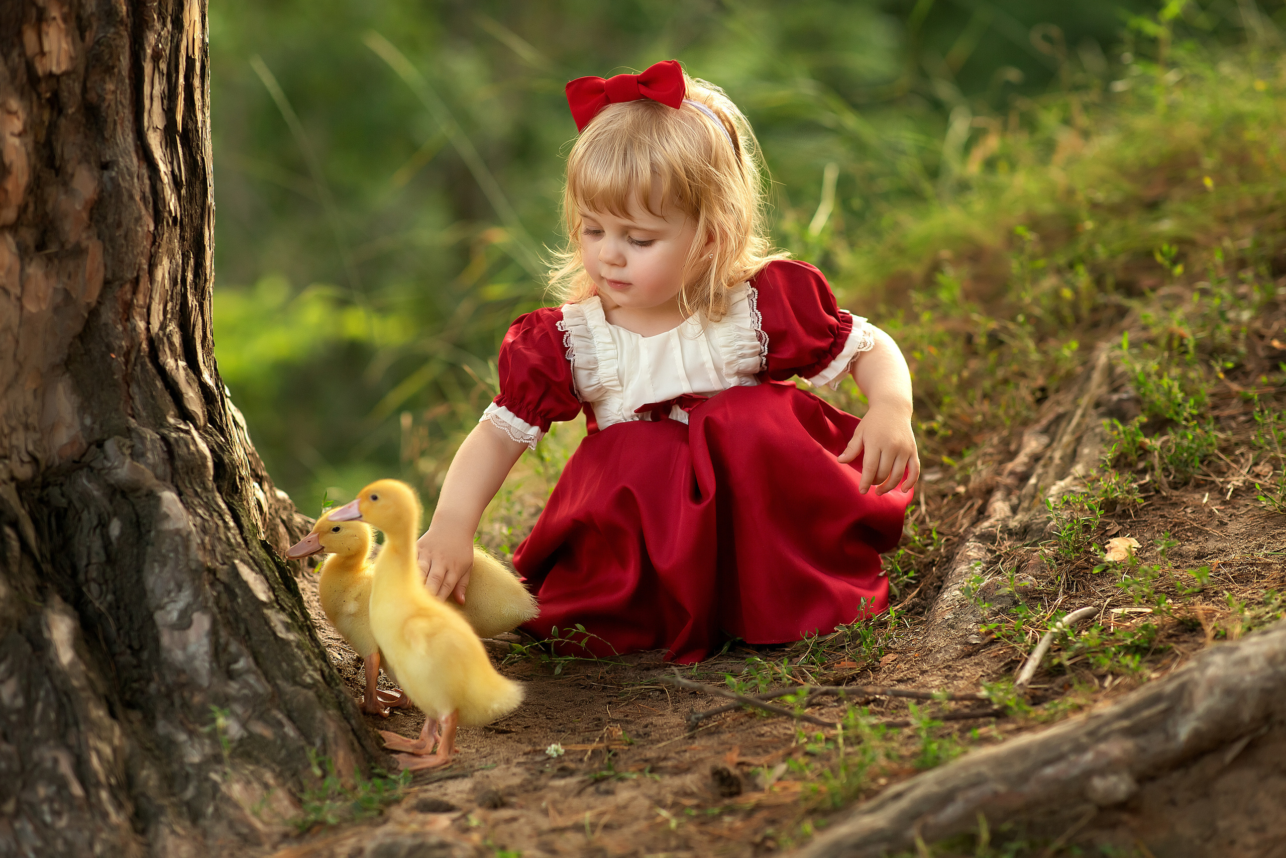 Варюша и Витюша утята. Фотограф на крещение и венчание