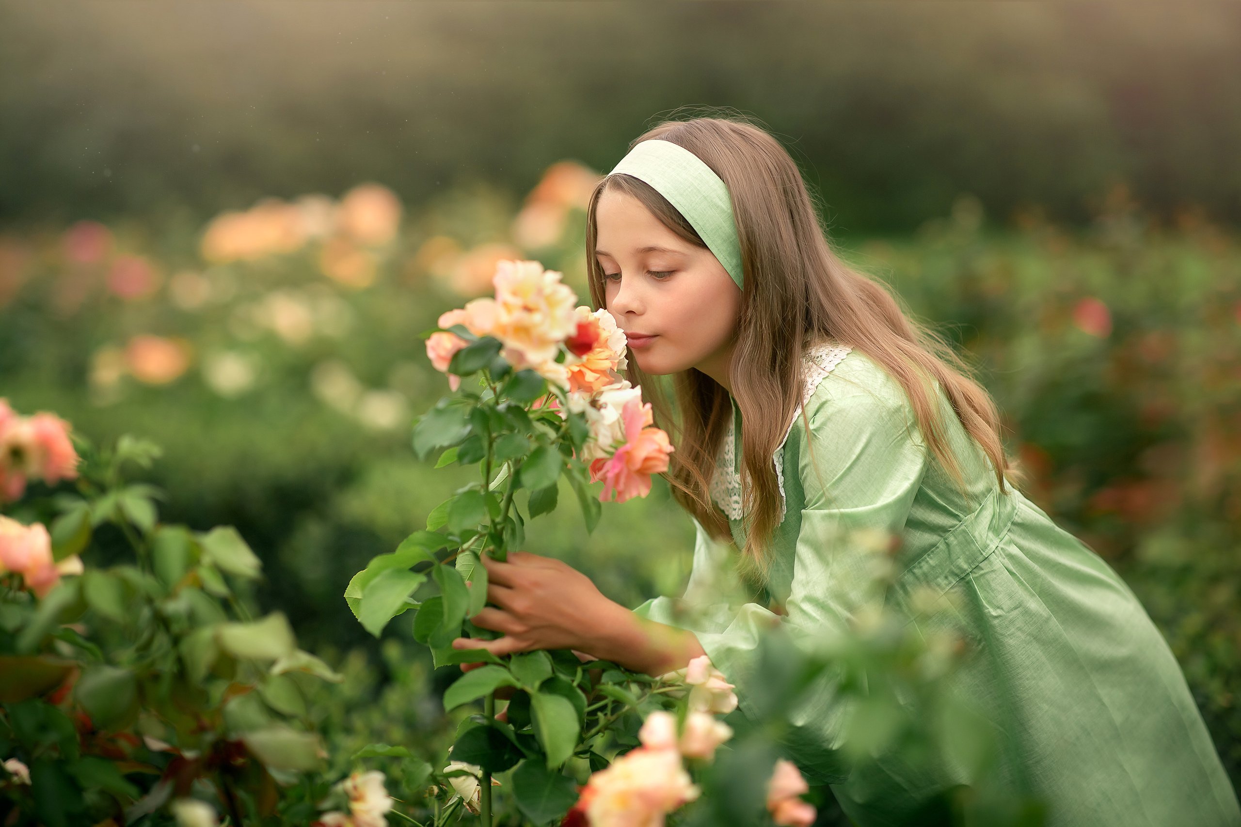 Виктория Ольденбургский дворец. Фотограф на крещение и венчание