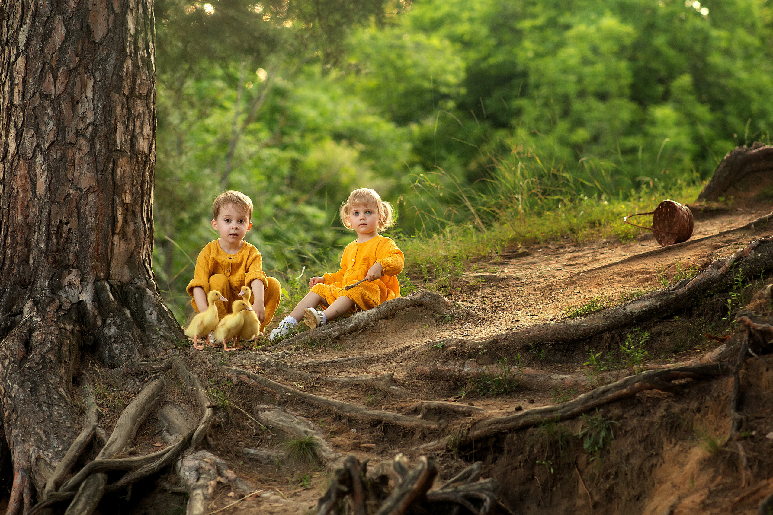 Варюша и Витюша утята. Фотограф на крещение и венчание