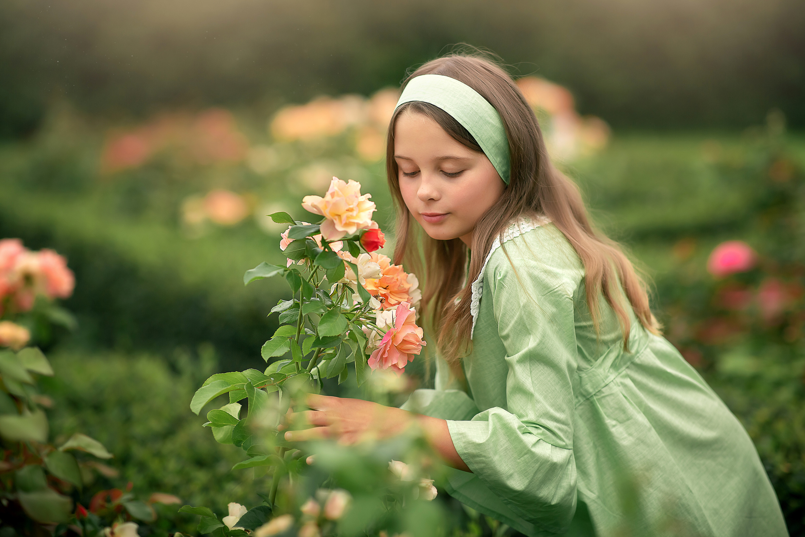 Виктория Ольденбургский дворец. Фотограф на крещение и венчание