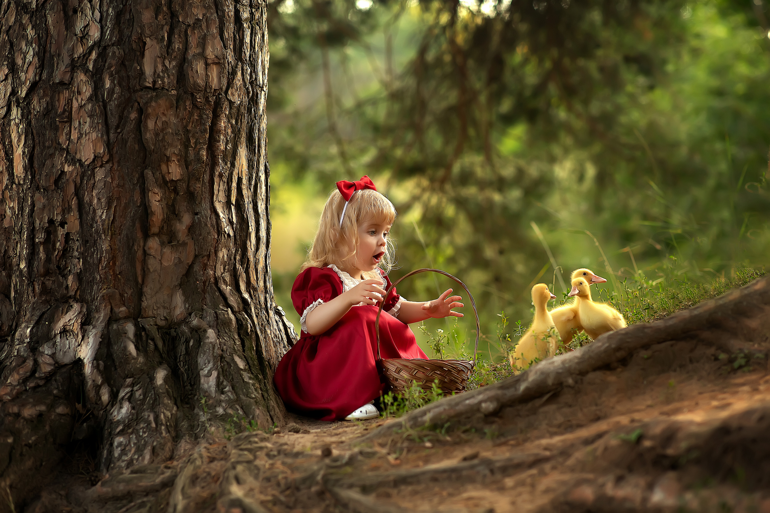 Варюша и Витюша утята. Фотограф на крещение и венчание