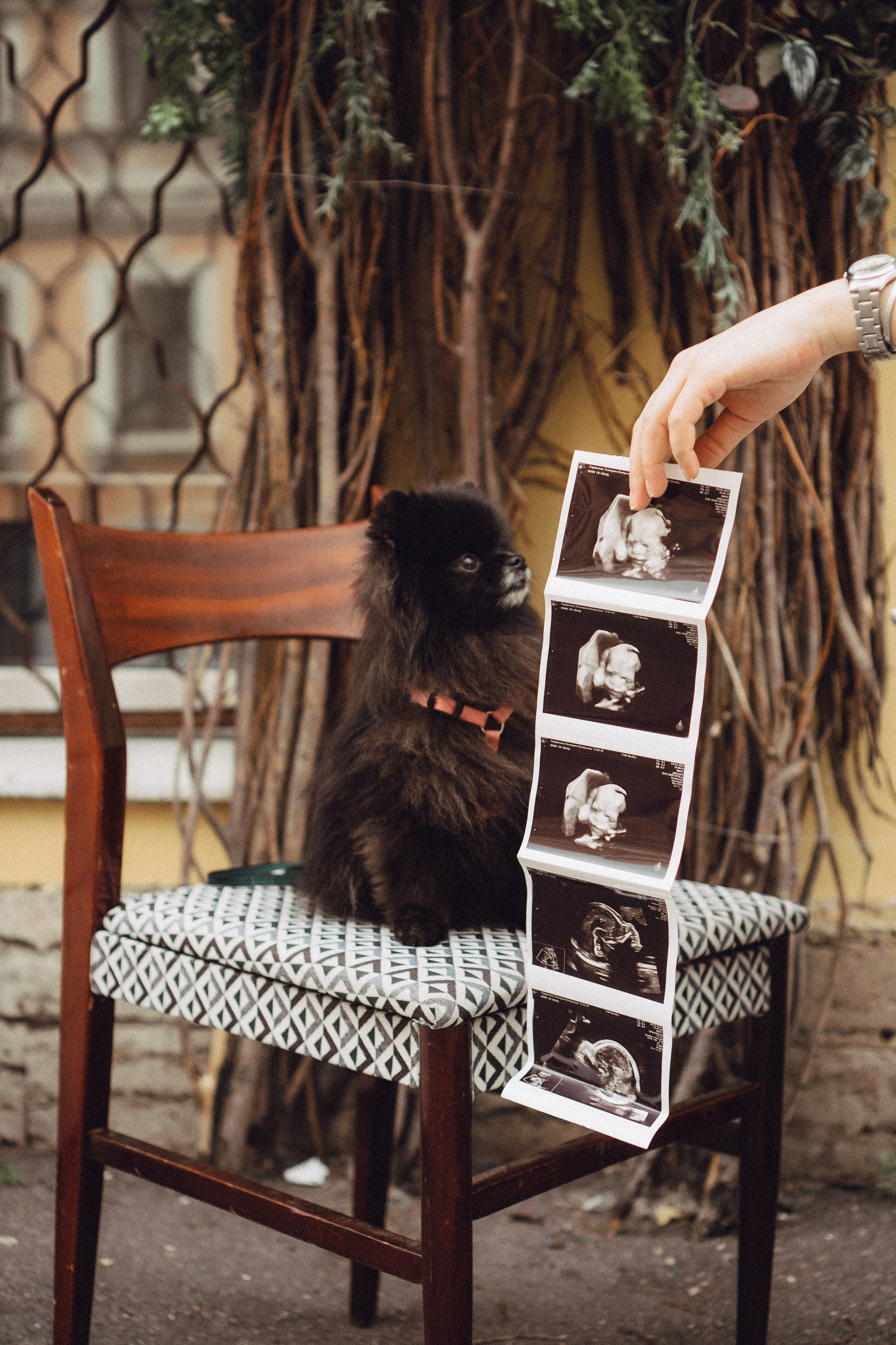 Беременность (только часть фото по желанию клиентов могу показать)). Профессиональный фотограф, Санкт-Петербург — Виктория Богомолова
