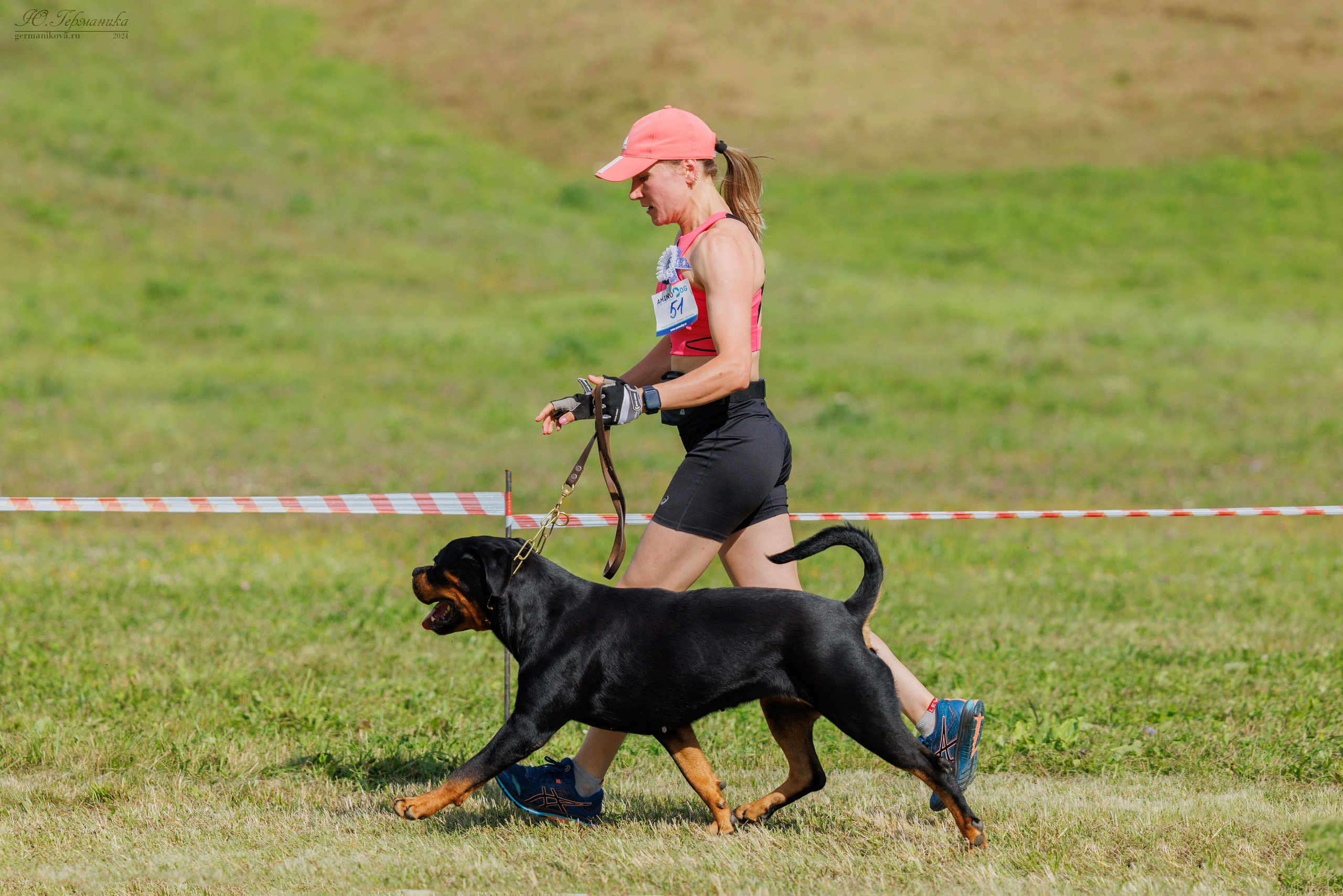 Рязань-Ховрино 10-11.08.2024 3хмоно ротвейлеров. Фотограф-анималист Юлия Германика