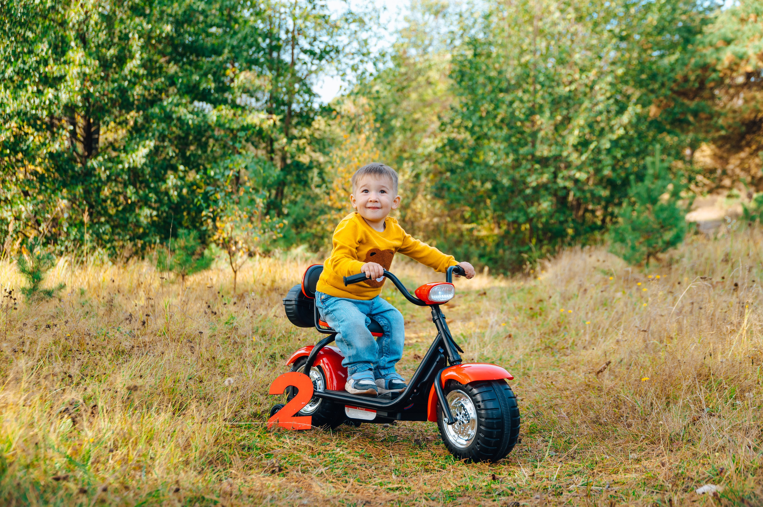 красный мотоцикл. идеален с 1 года до 3 лет. Аренда 500р