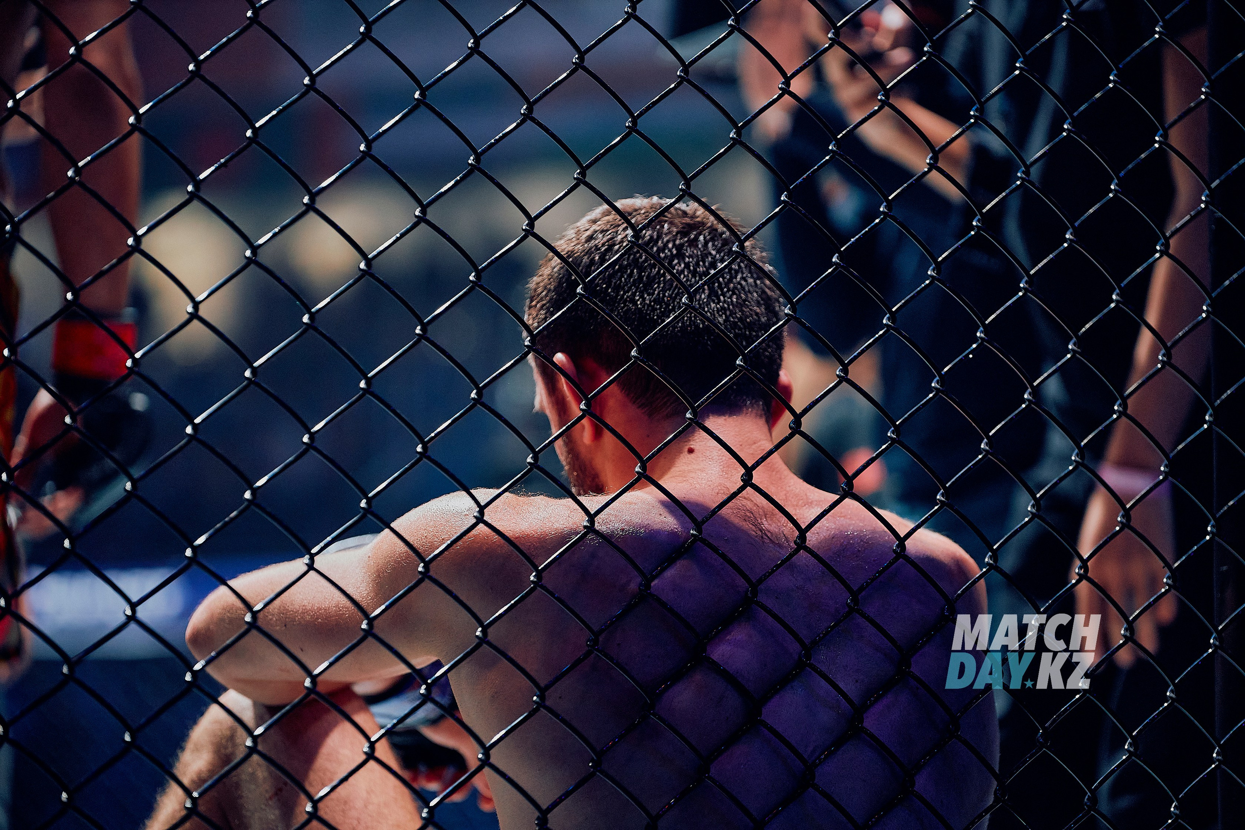 Naiza MMA (Astana) 6 December 2023. Professional photo & Event agency (Kazakhstan, Astana)