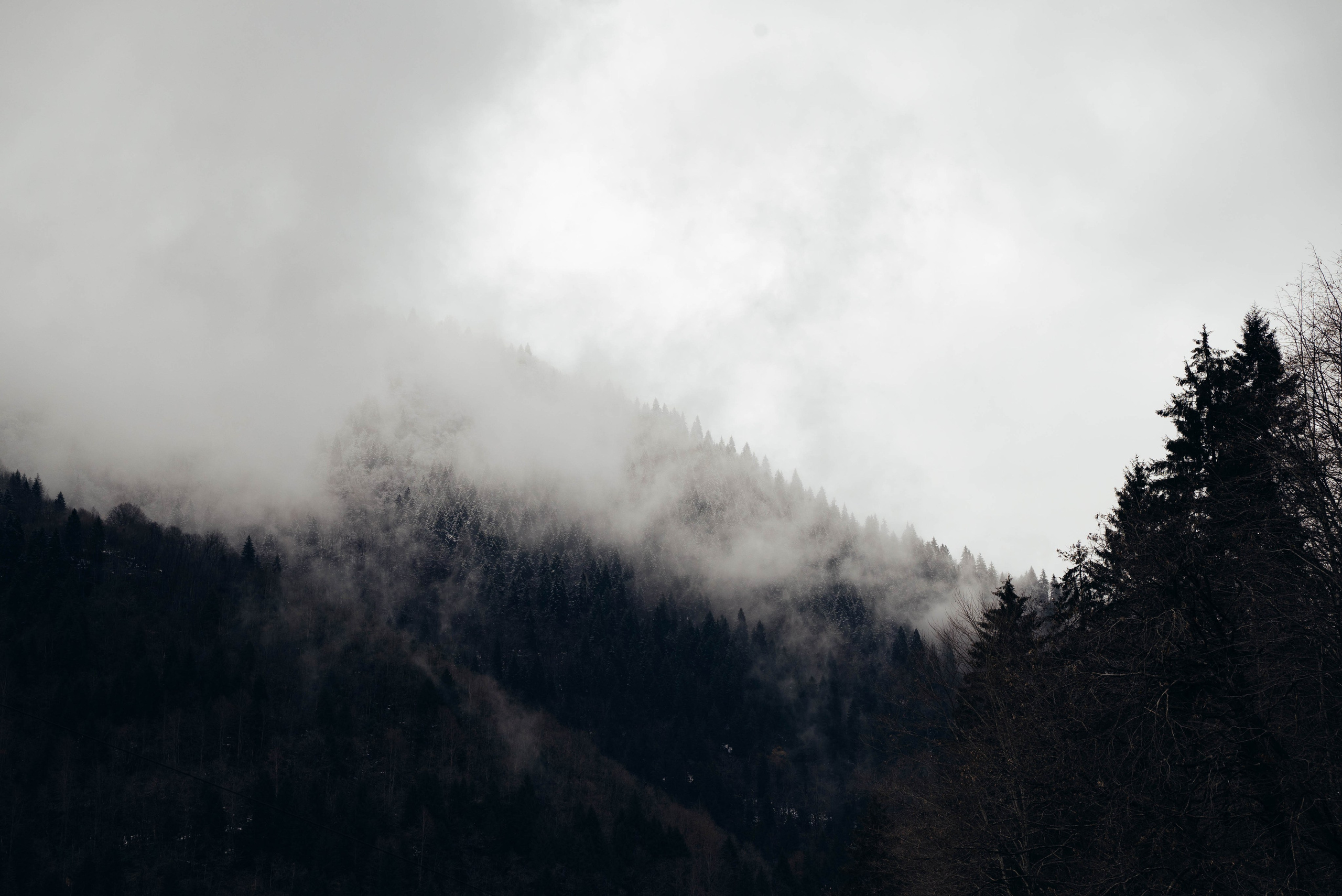 Ризе. Анна Лобанова | фотограф