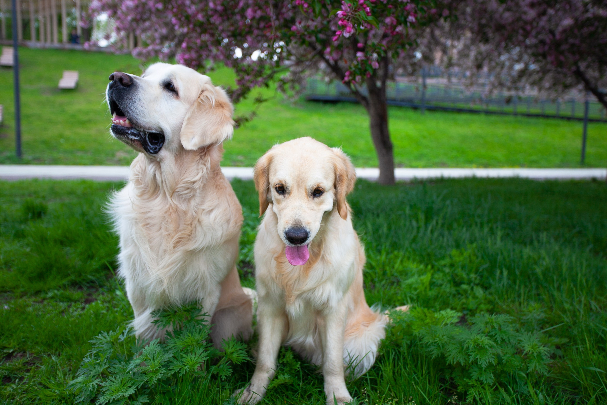 Елена. Фотограф Дарья Локотко в Красноярске