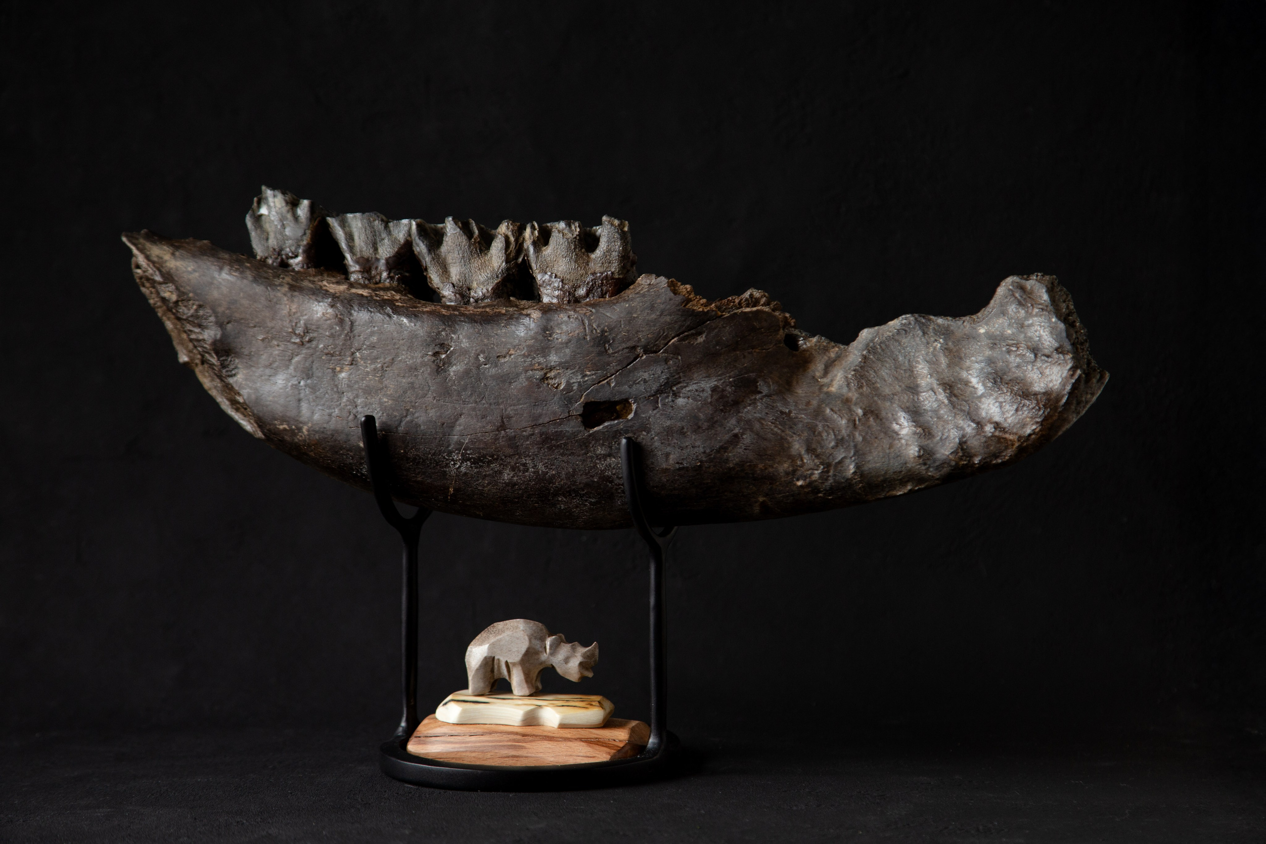 Предметка. Фотограф в Сургуте Ксения Лепина