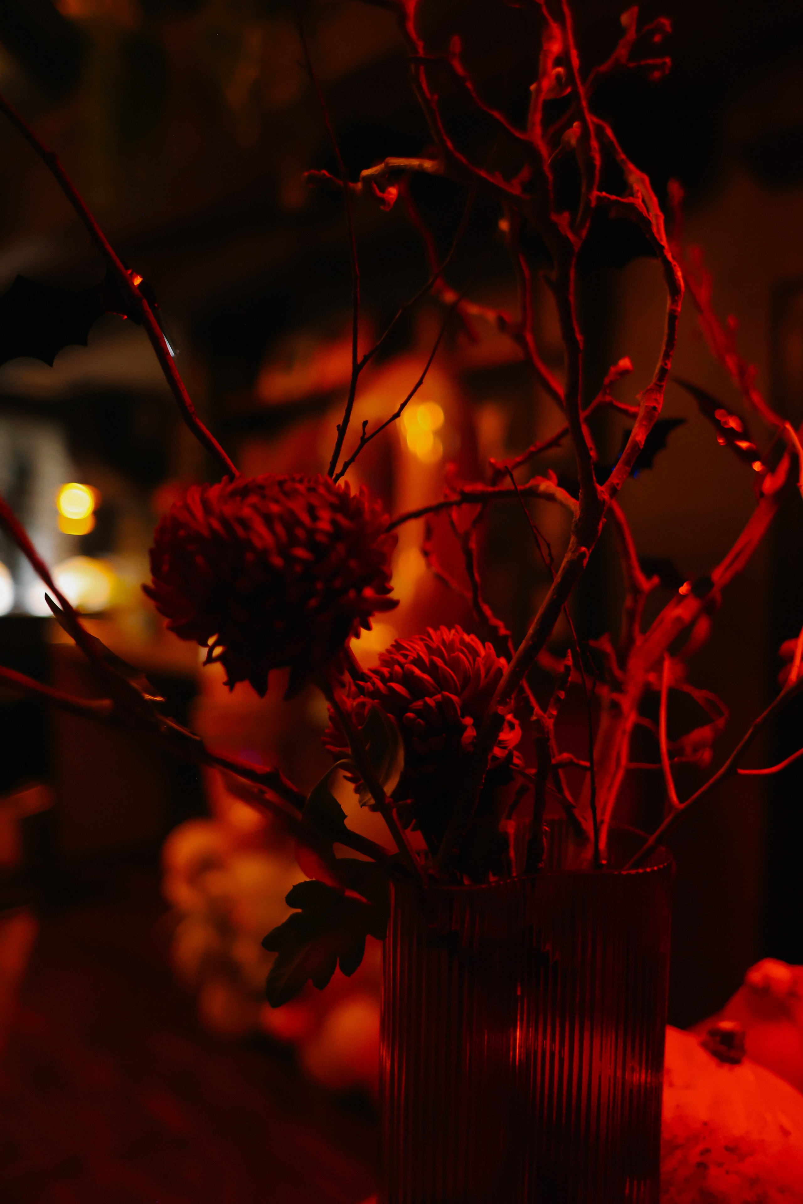 Crualle. Главная